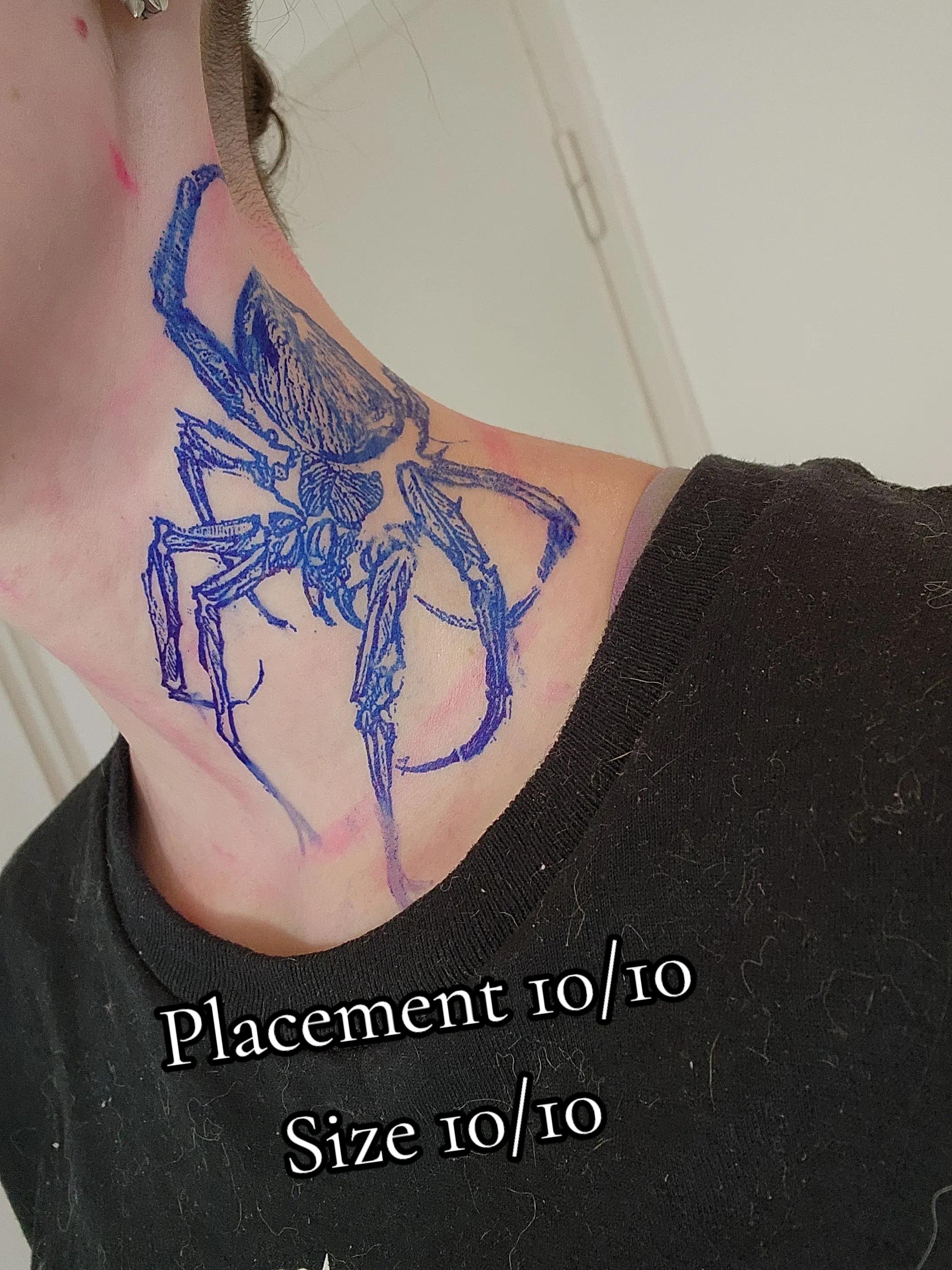 @🦇
