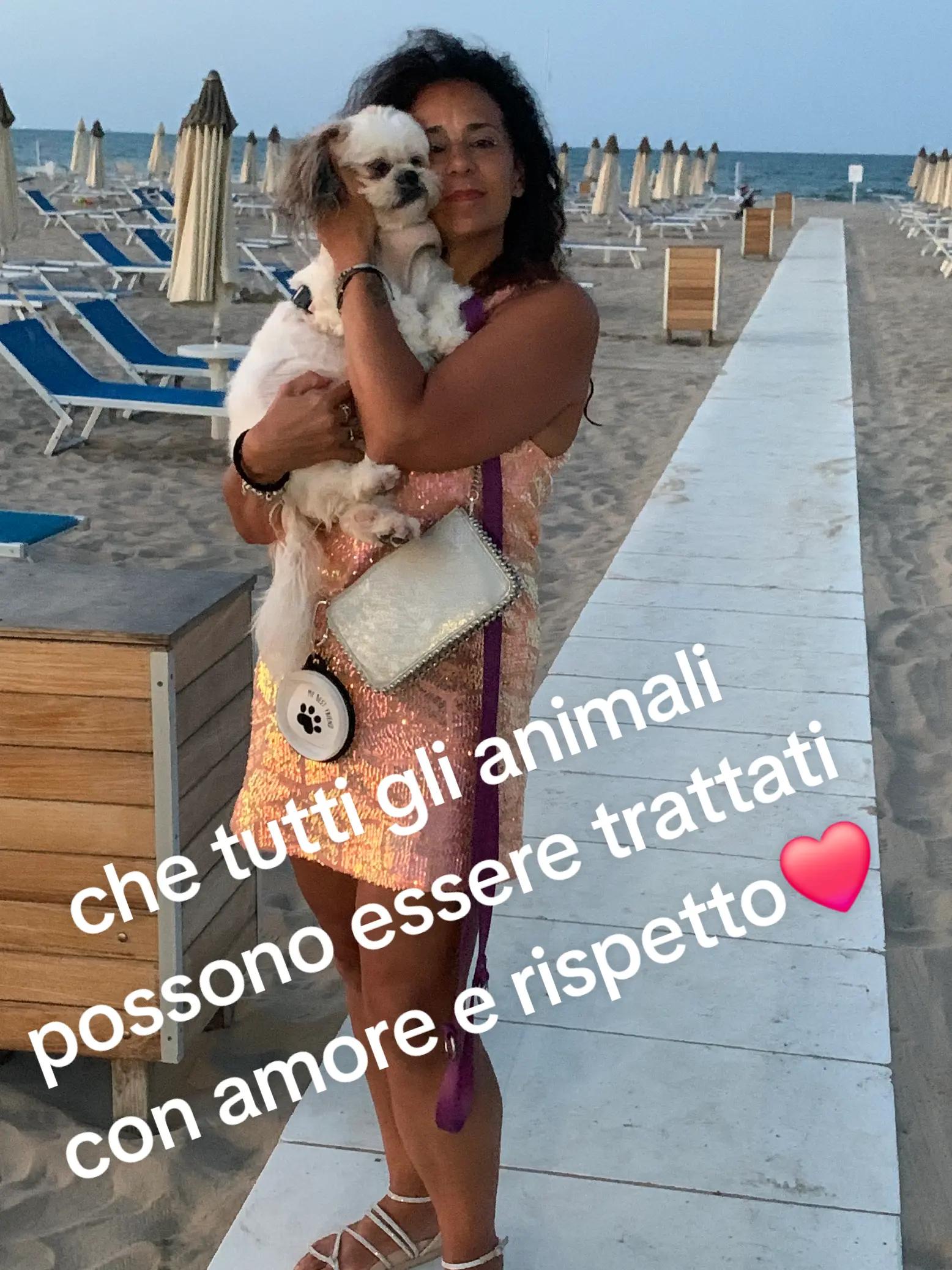 @karin.lamber.bx