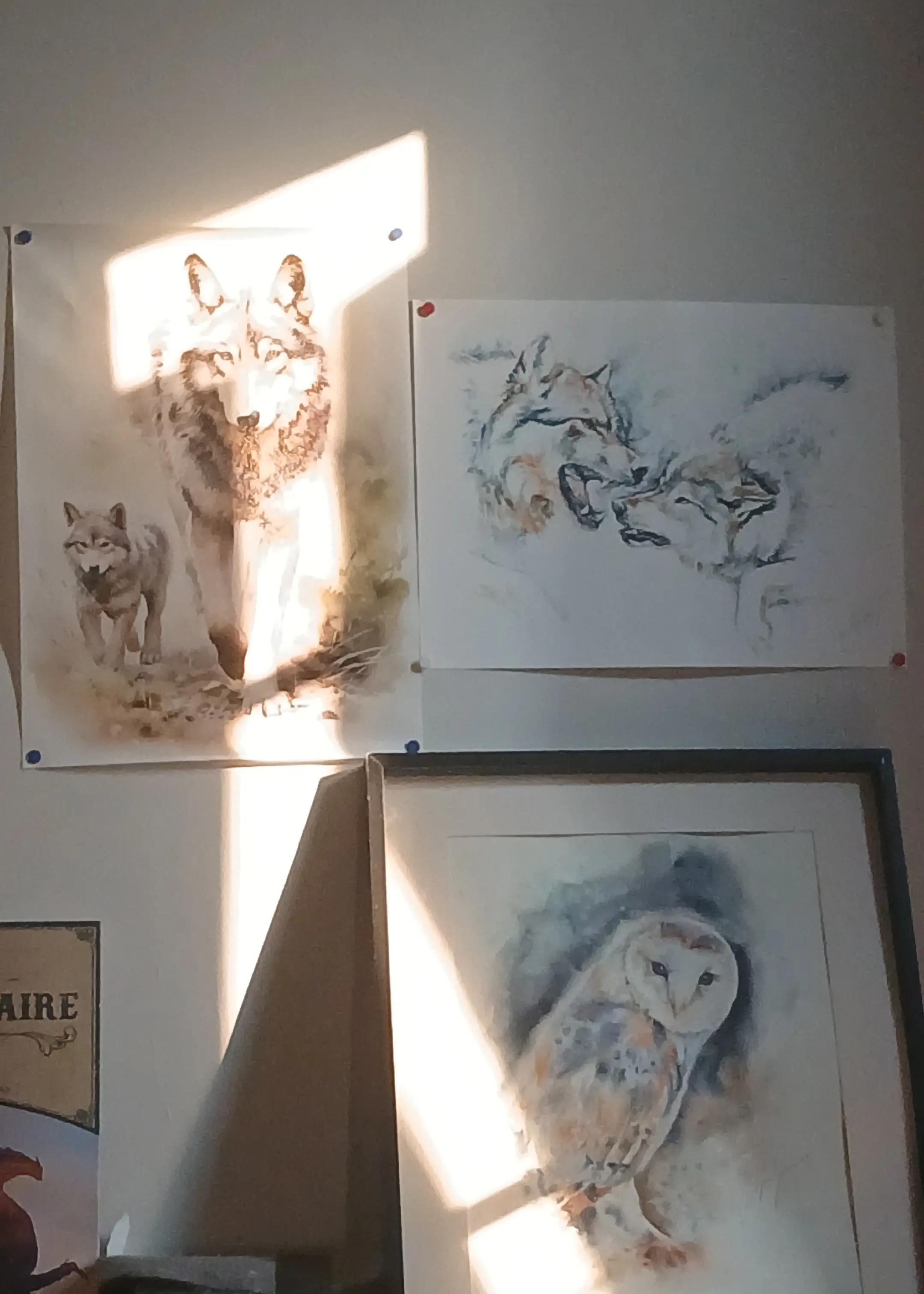 @Dubois Wolf