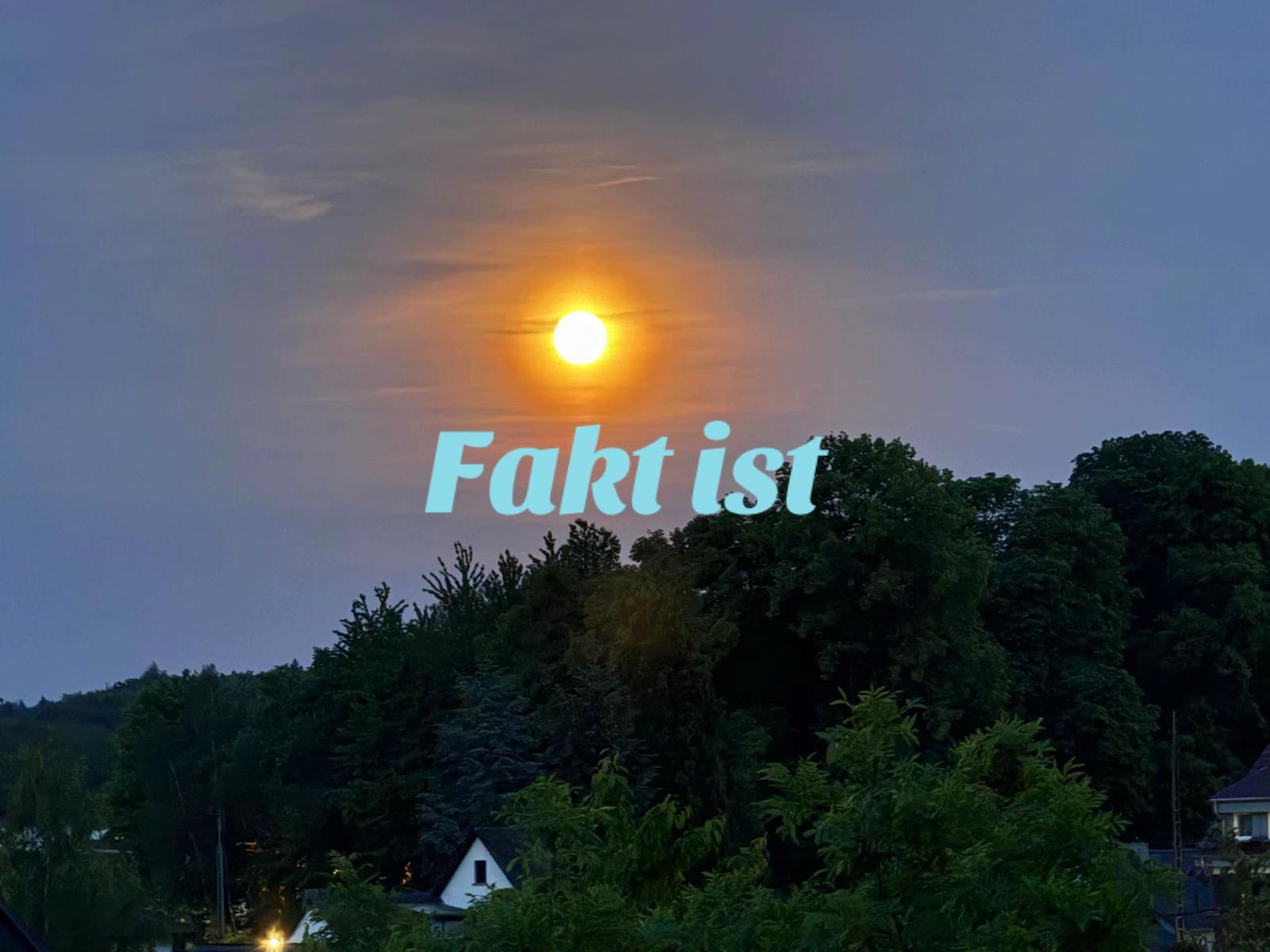 @Elisa