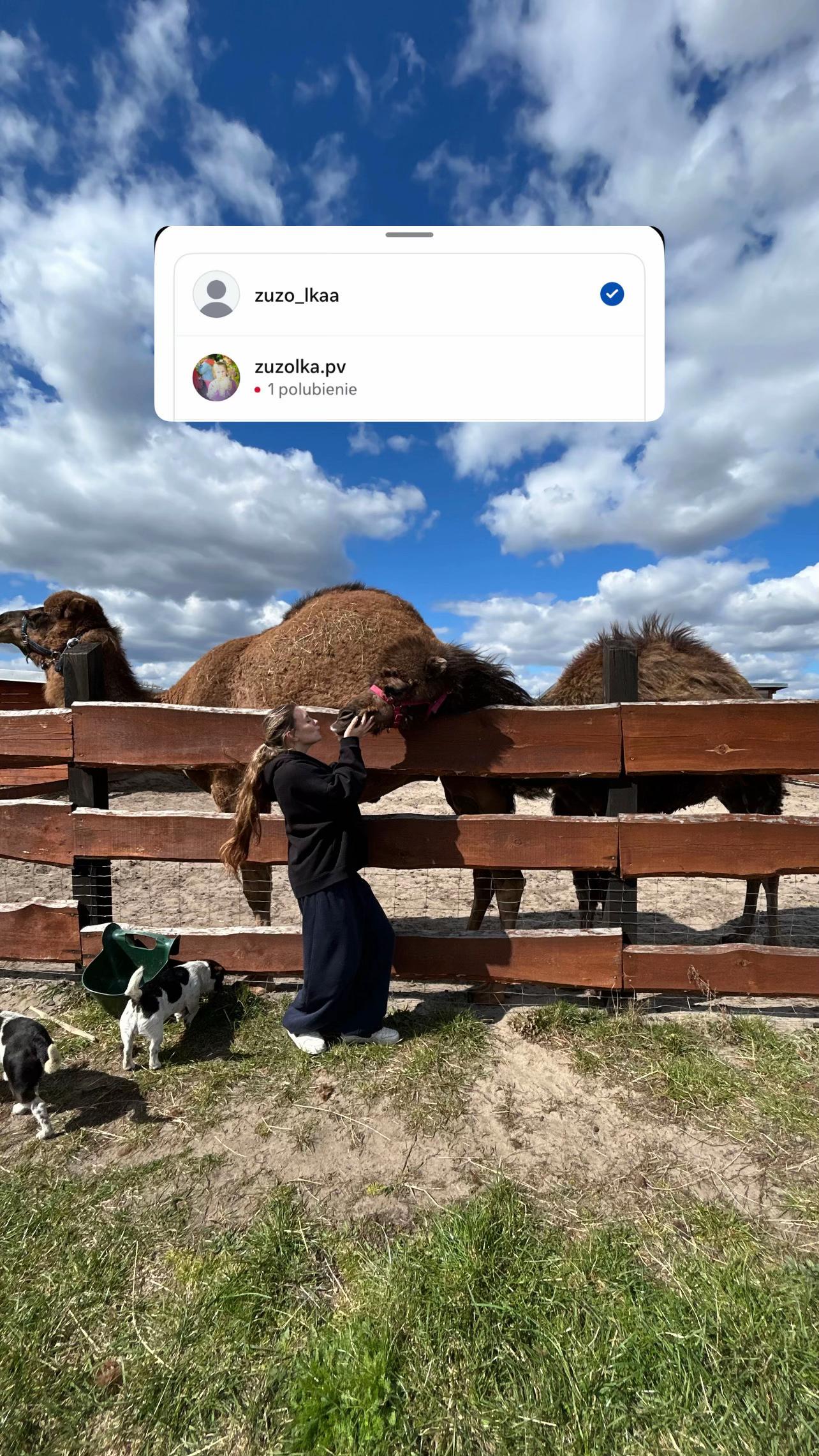 @ig:zuzo_lkaa