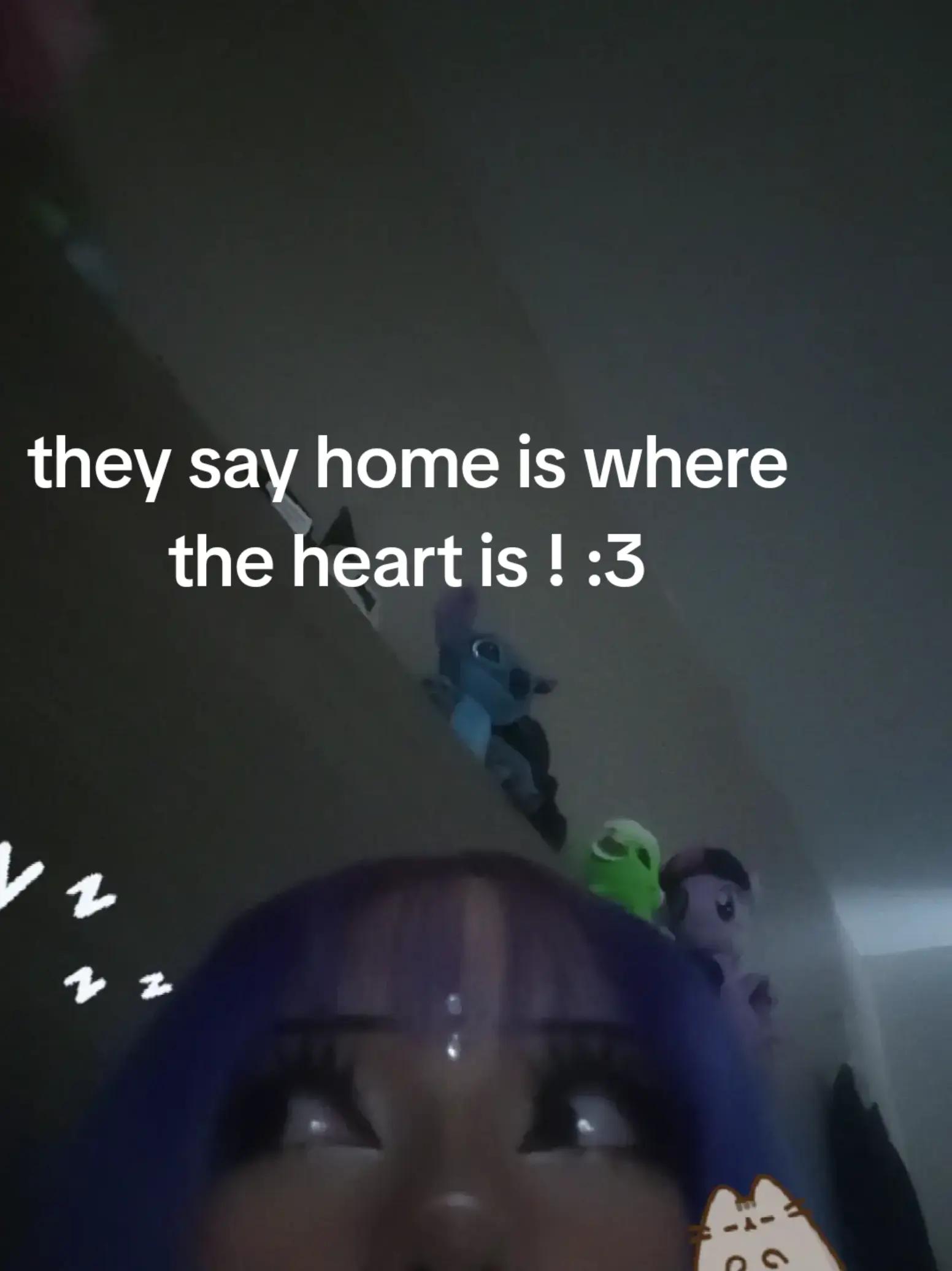 @kitty≽(•⩊ •マ≼