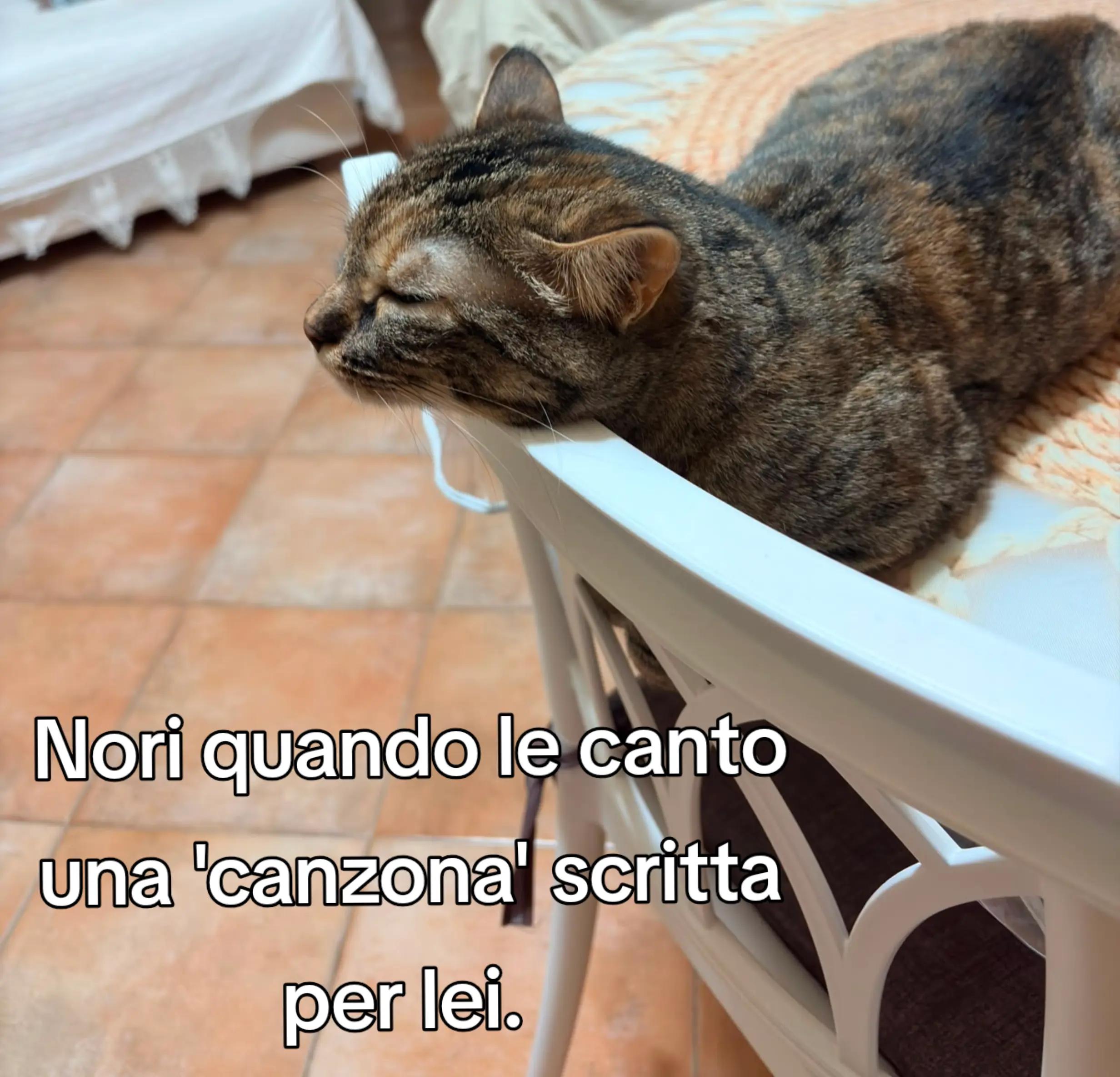 @Lucy ❤️