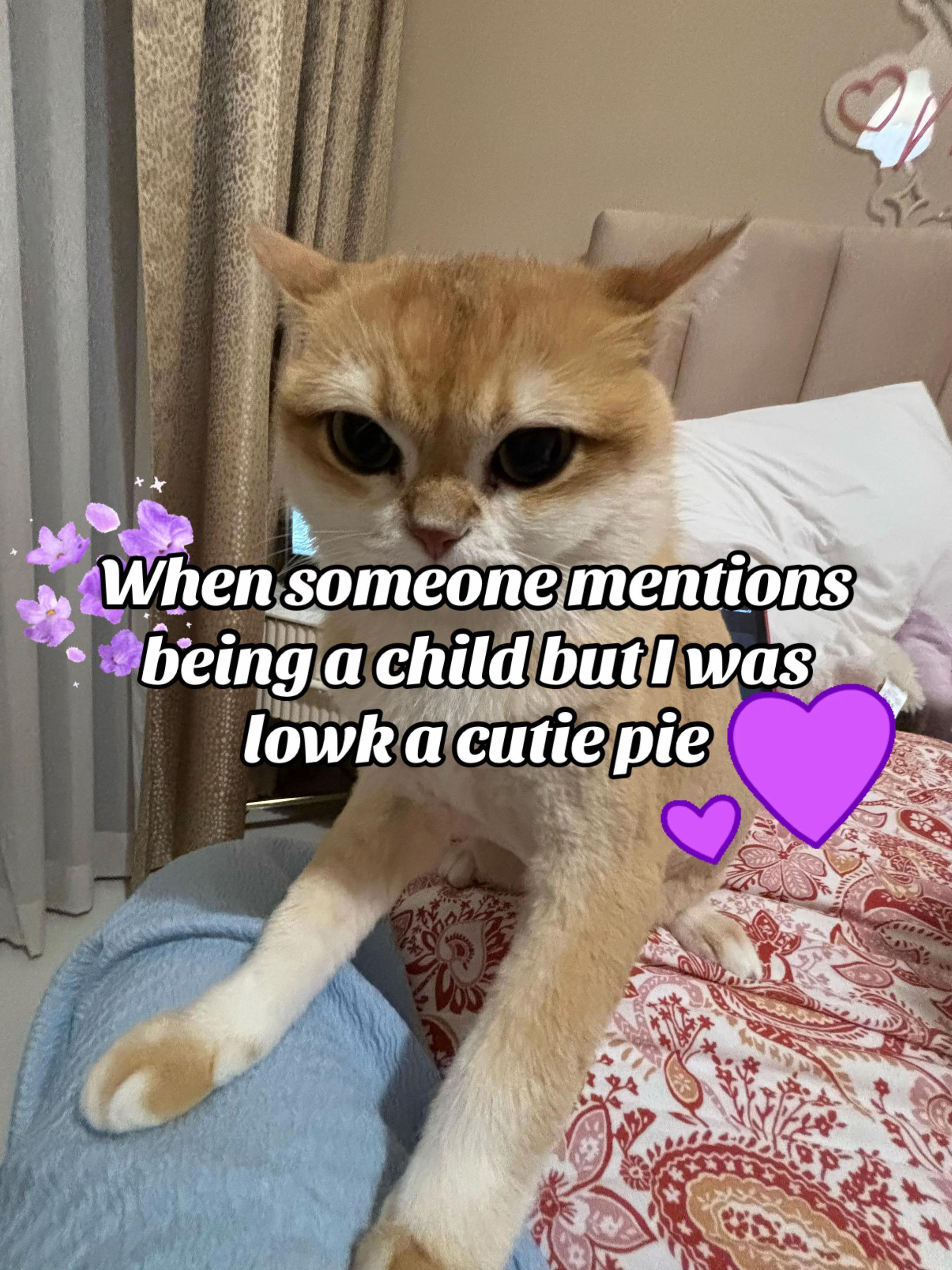 @๐ถ๐ช๐ฑ๐ท๐ธ๐ธ๐ป๊จ๏ธ