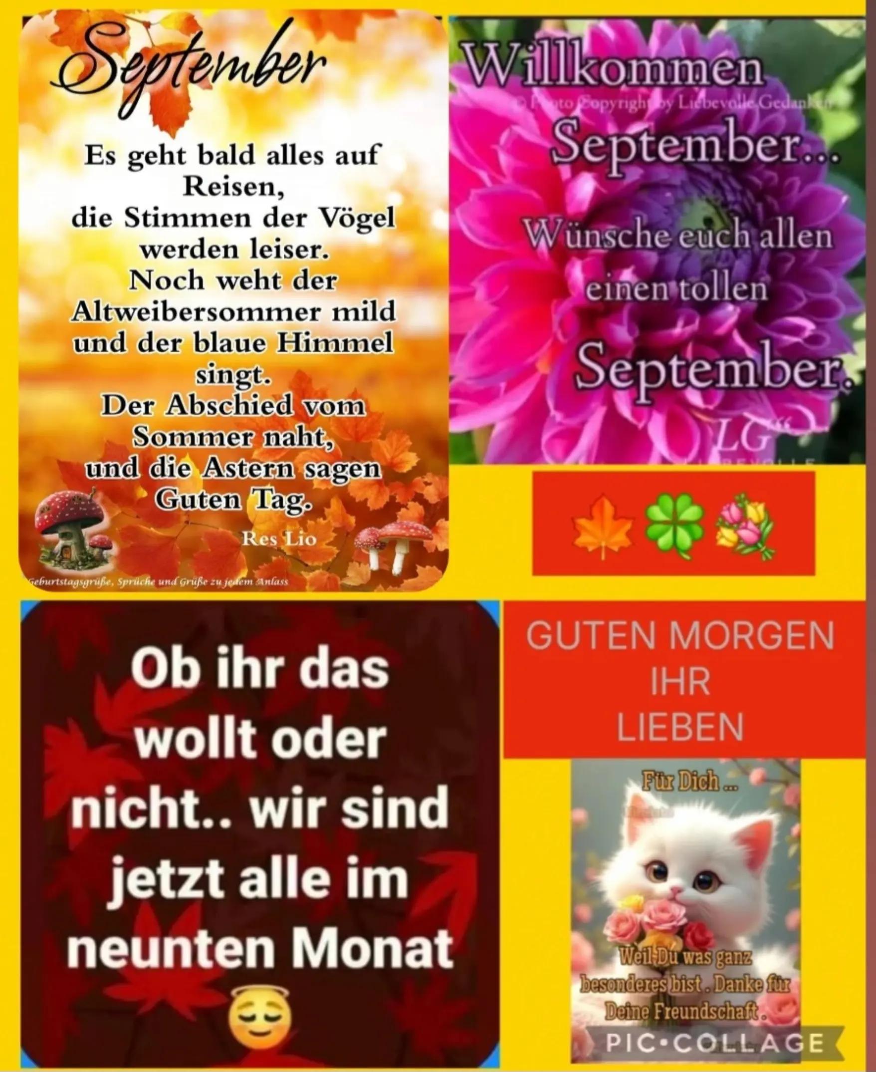 @ICH BIN EUER GUTE LAUNE MENSCH