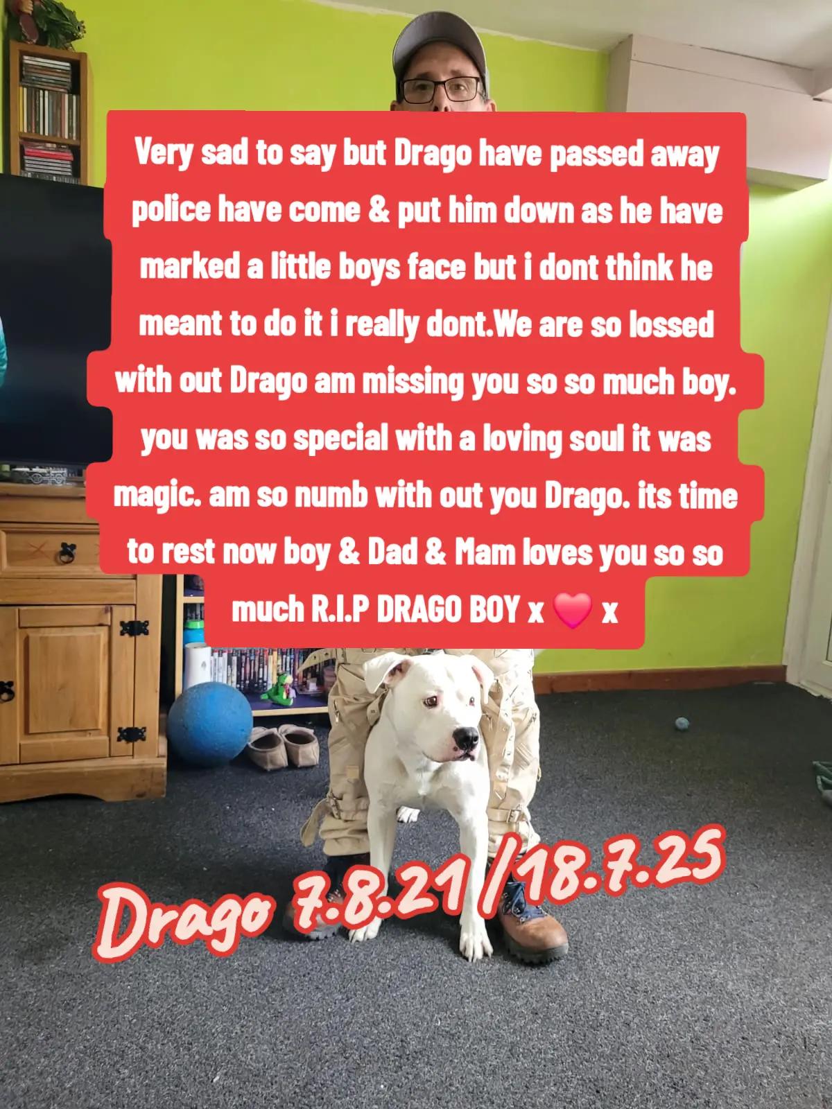 @Drago & Monty 44