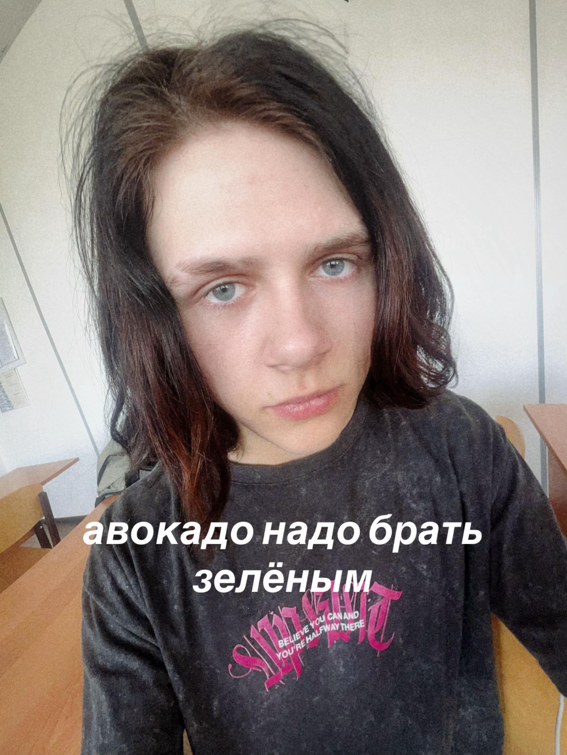 @。*:\ йоᴋо ᴄᴀᴛоᴩи /:✧.