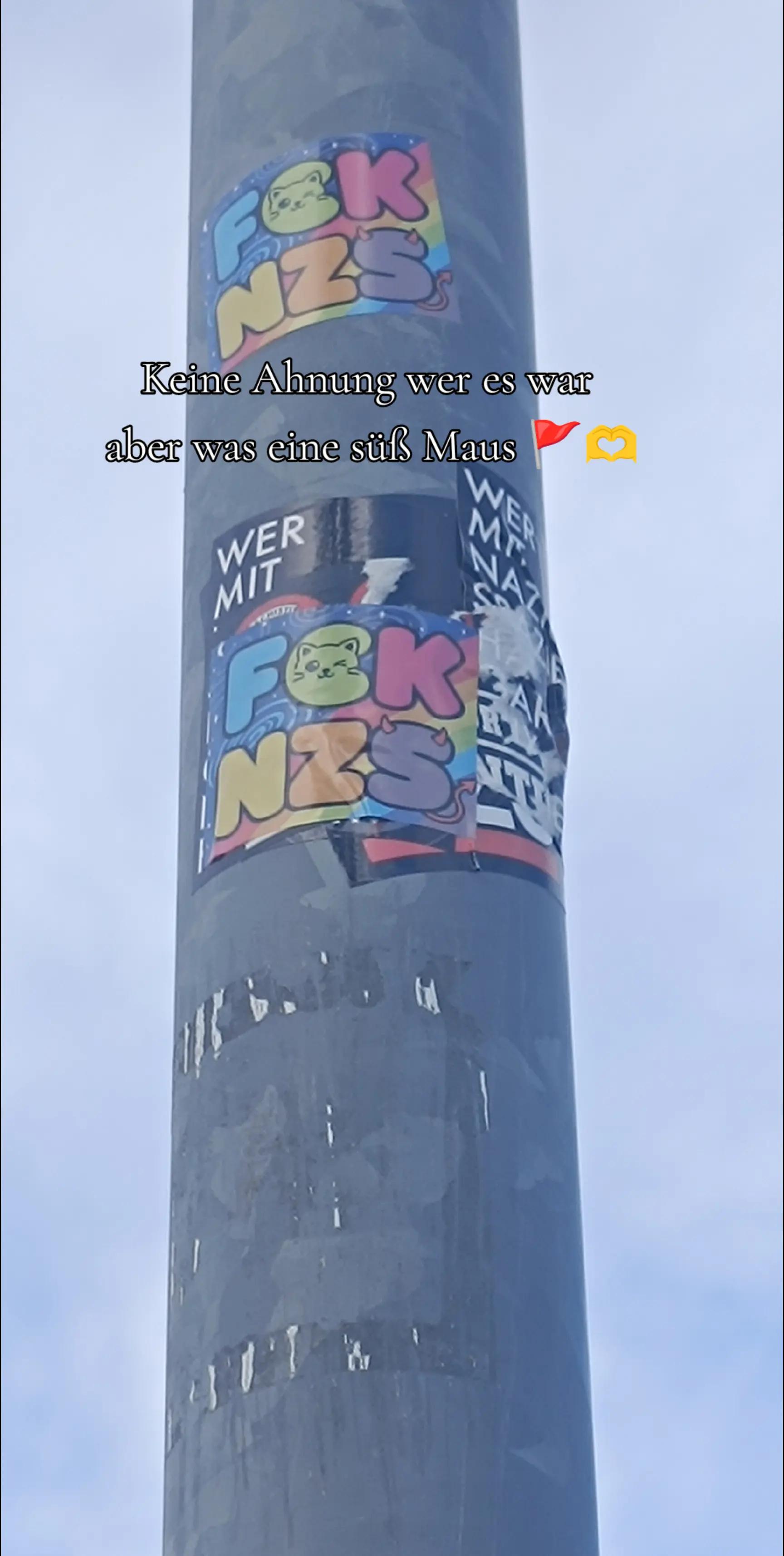 @Alicia🏳️⚧️🏳️🌈 Die Linke💋