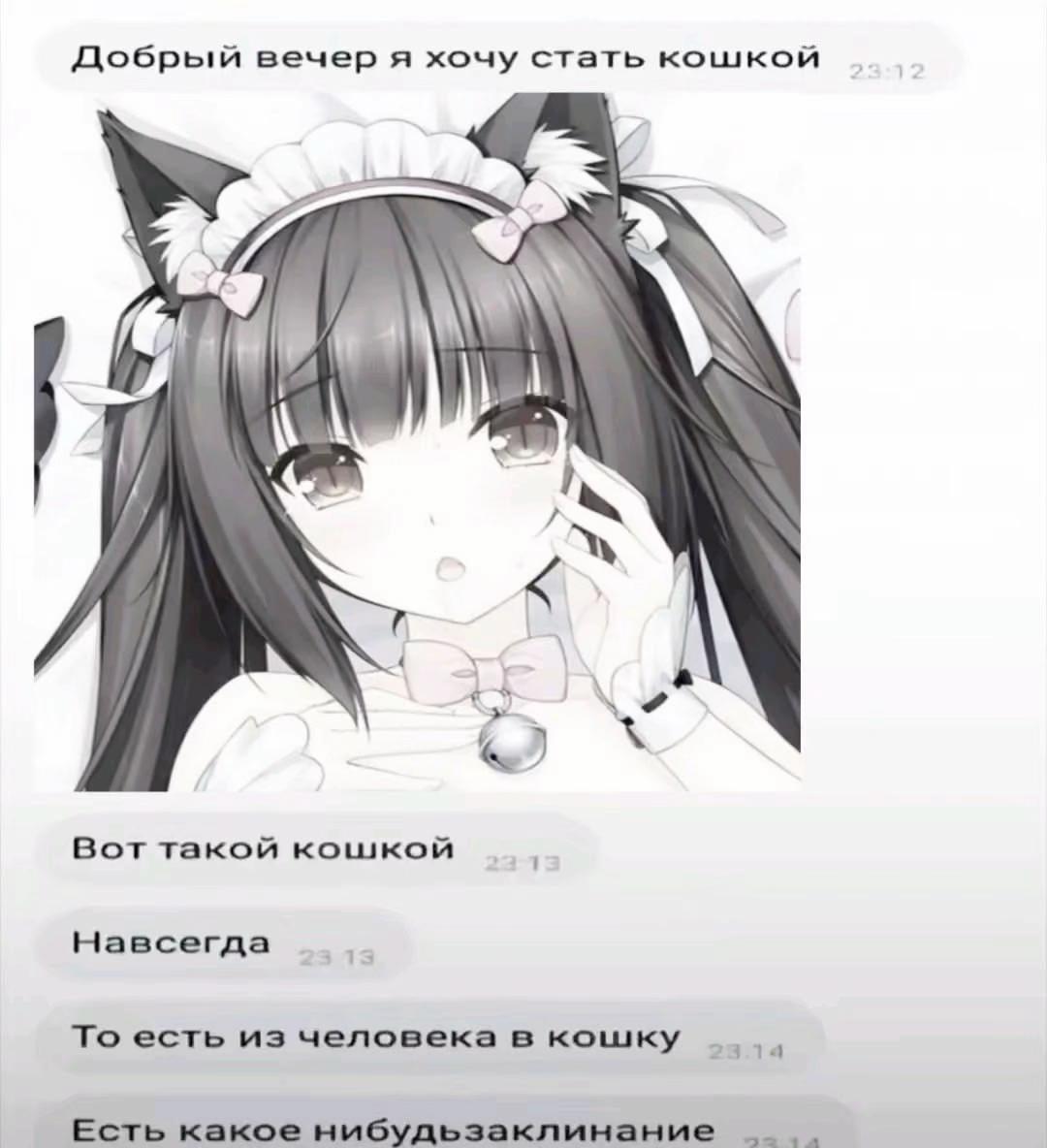 @demova_s