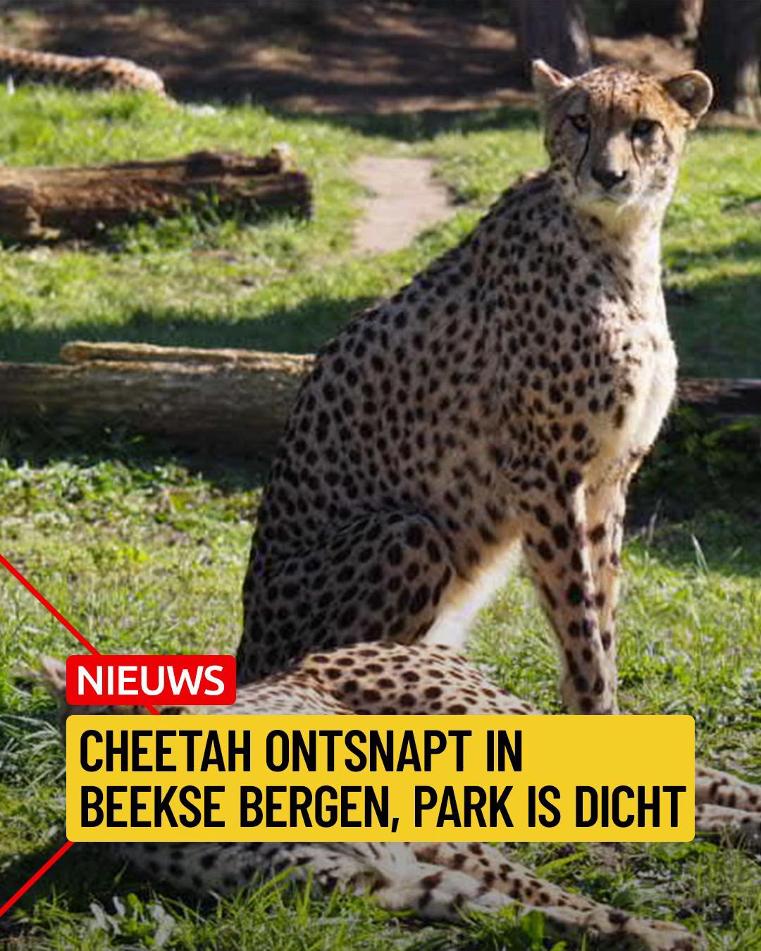 @Omroep Brabant
