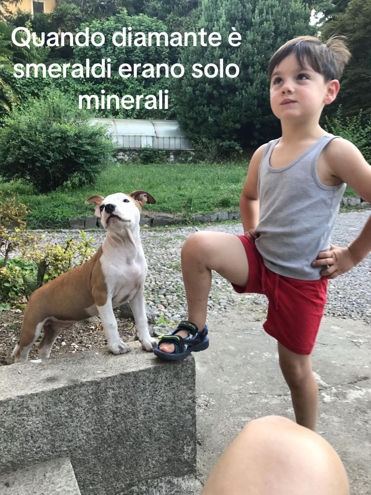 @Cucchiaio
