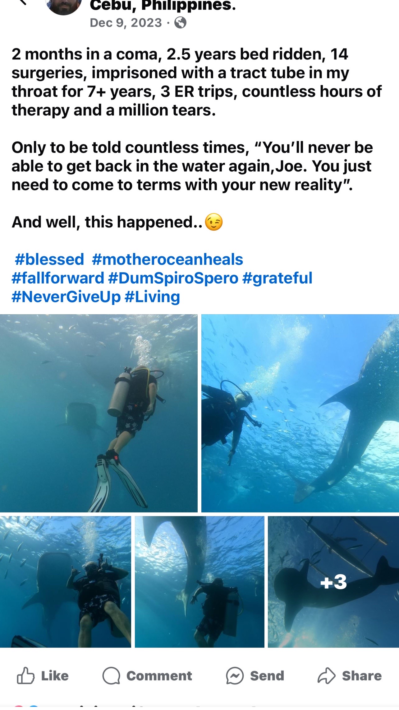 @Mother Ocean Fund❌