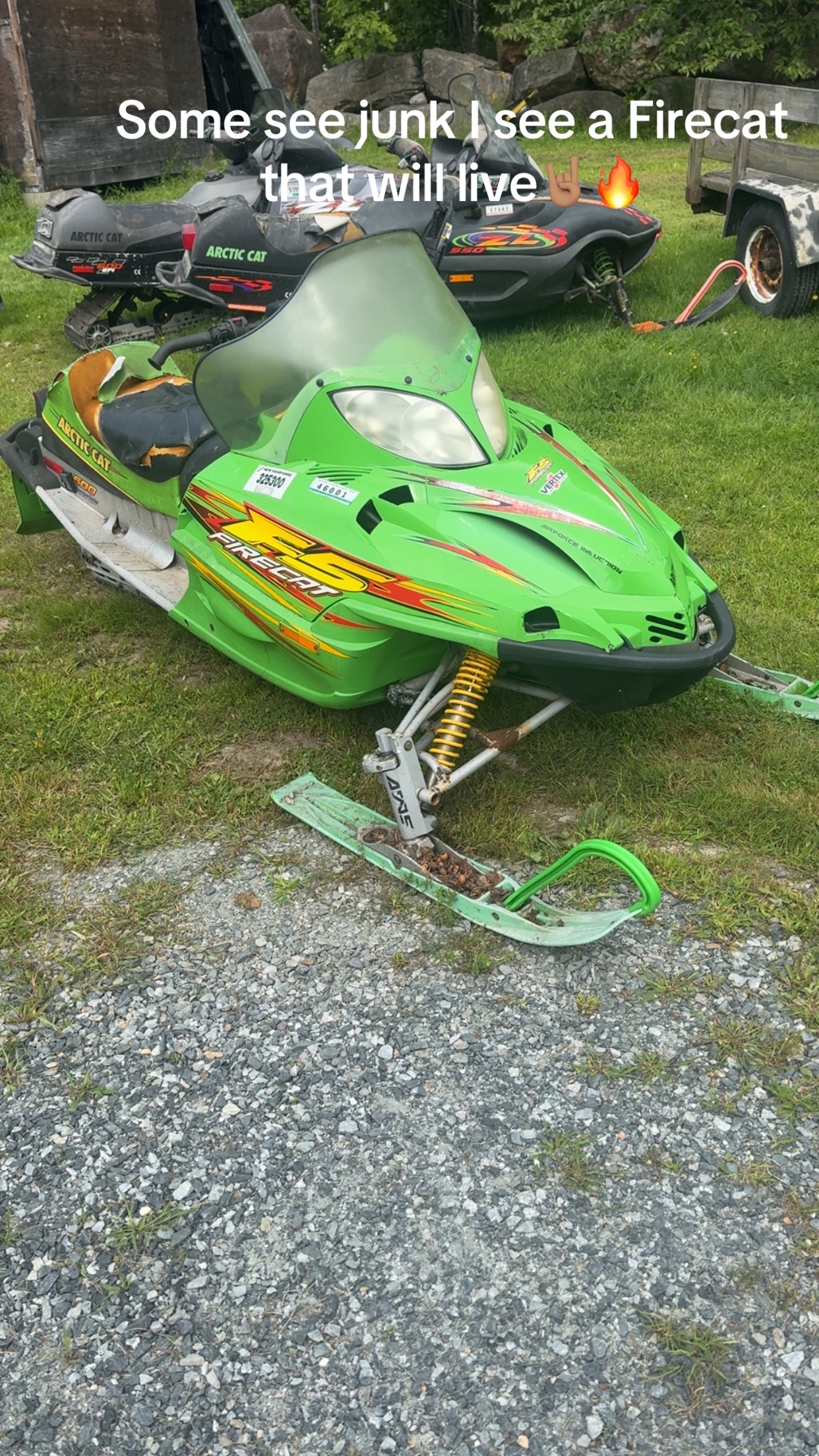 @Arcticcatmatt