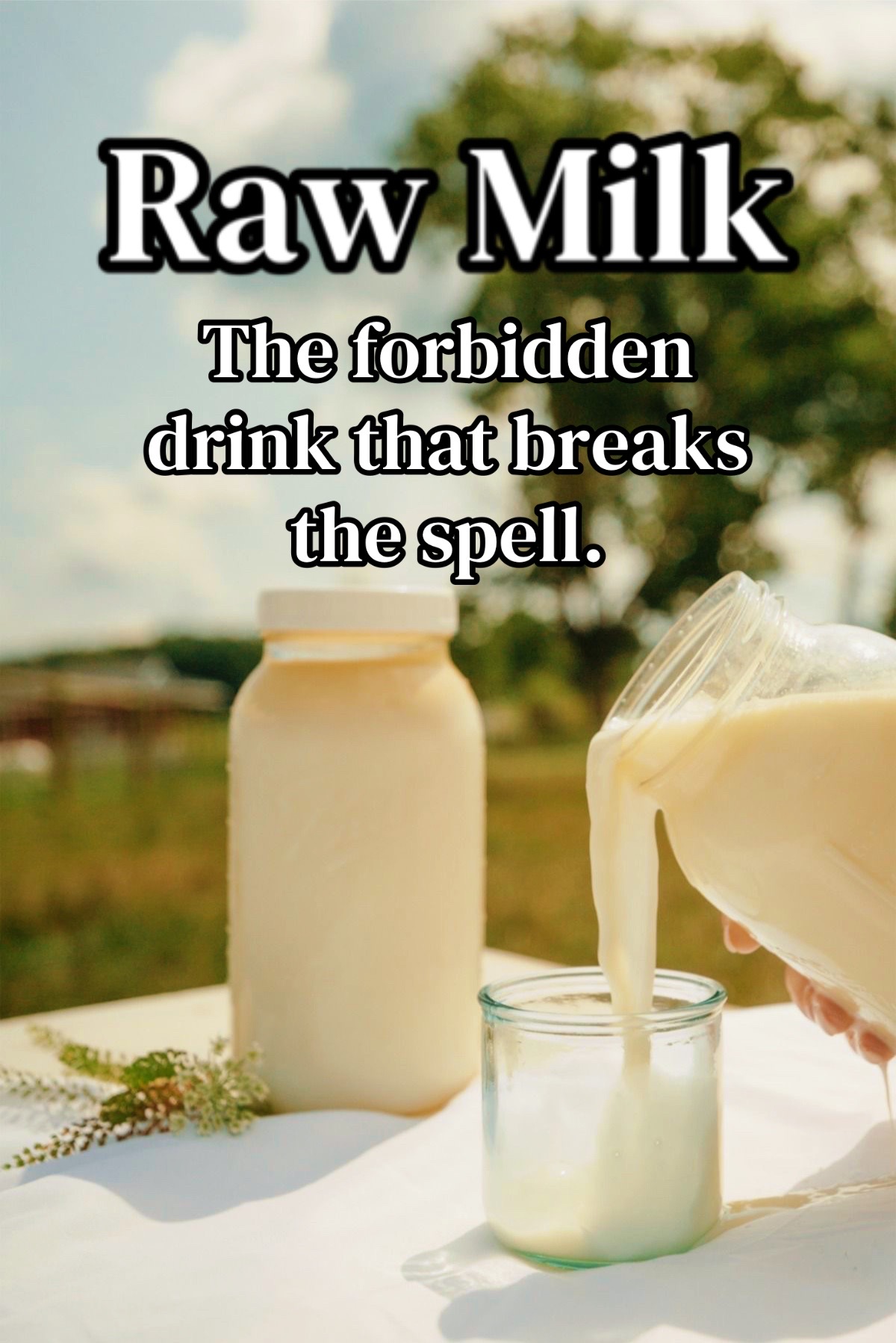 @🥩𝕽𝖆𝖜𝕸𝖎𝖑𝖐𝖂𝖎𝖋𝖊🥛