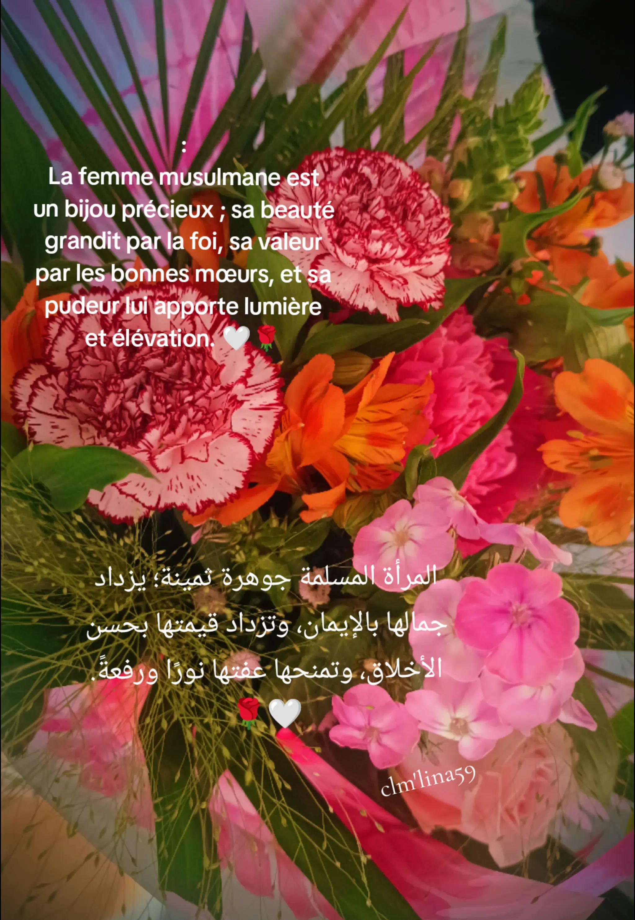 @clem.lina 59🇩🇿🇫🇷