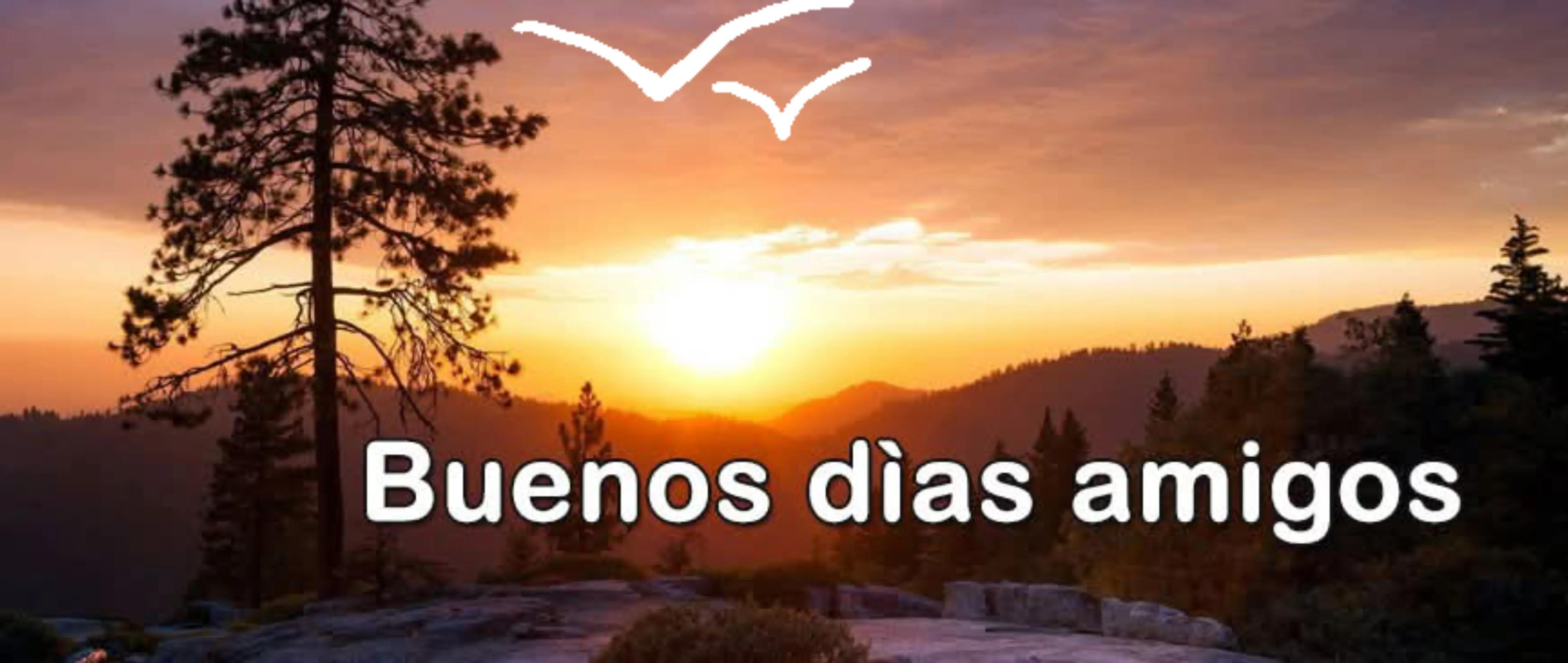 @marelitos1964@gmail.com