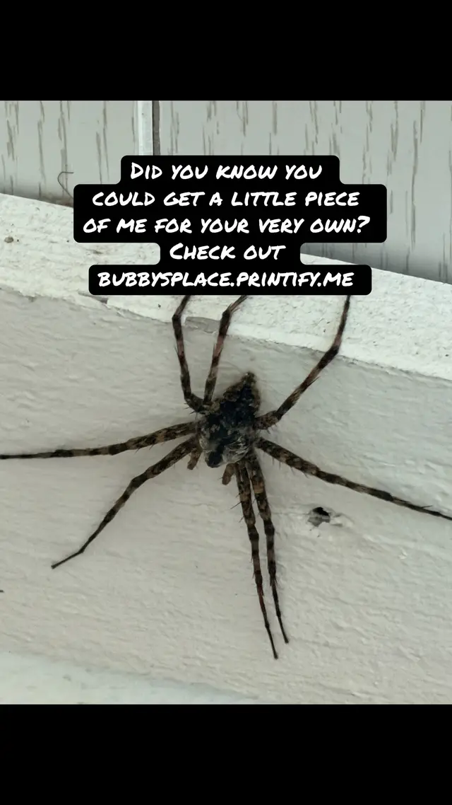 @Bugs