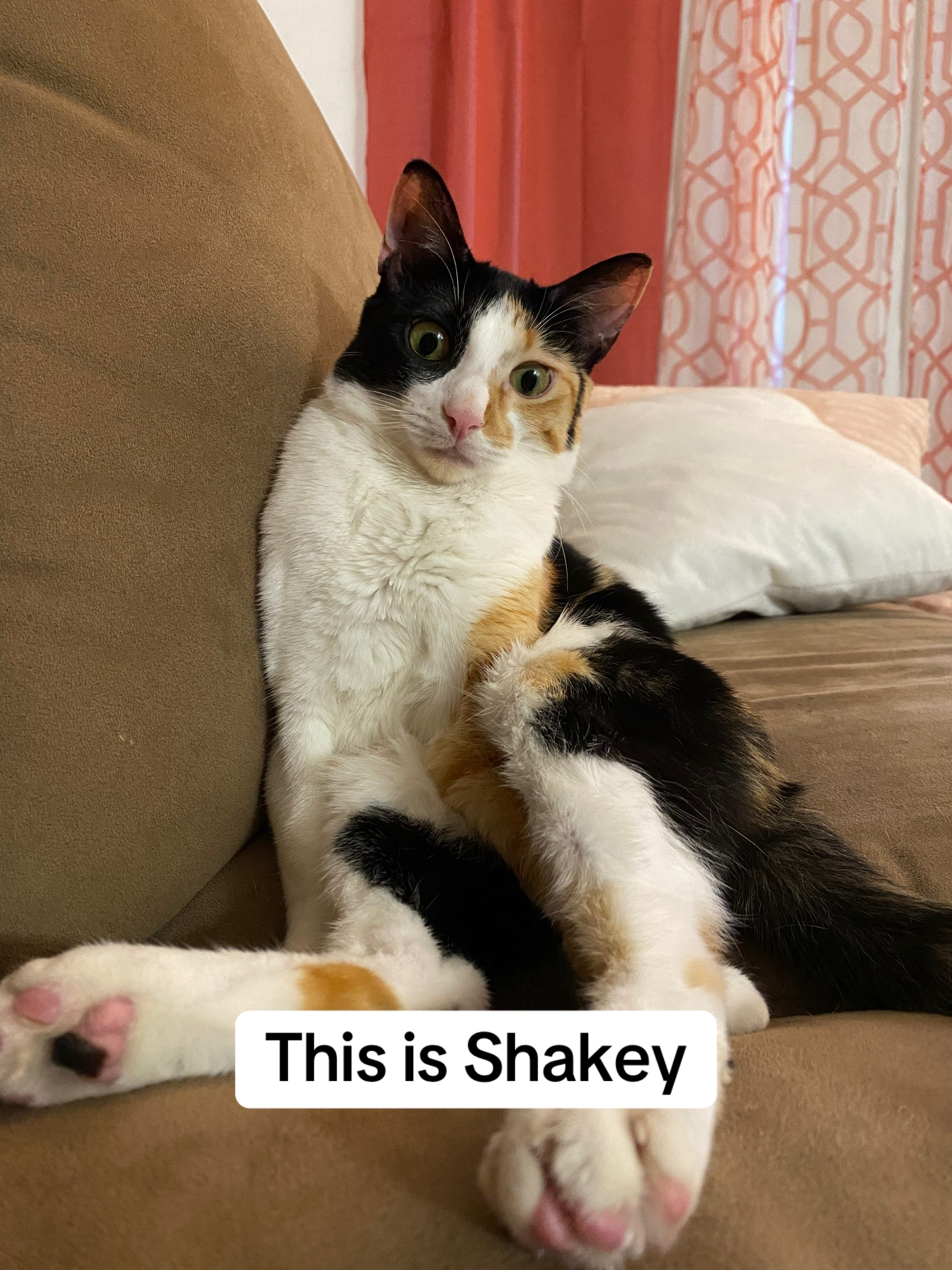 @Shakey Marie