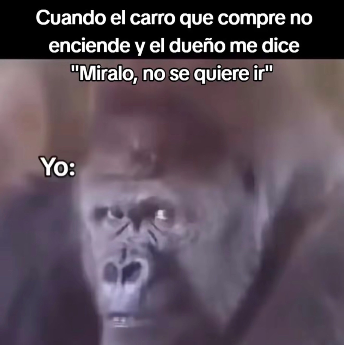 @tellebarajas