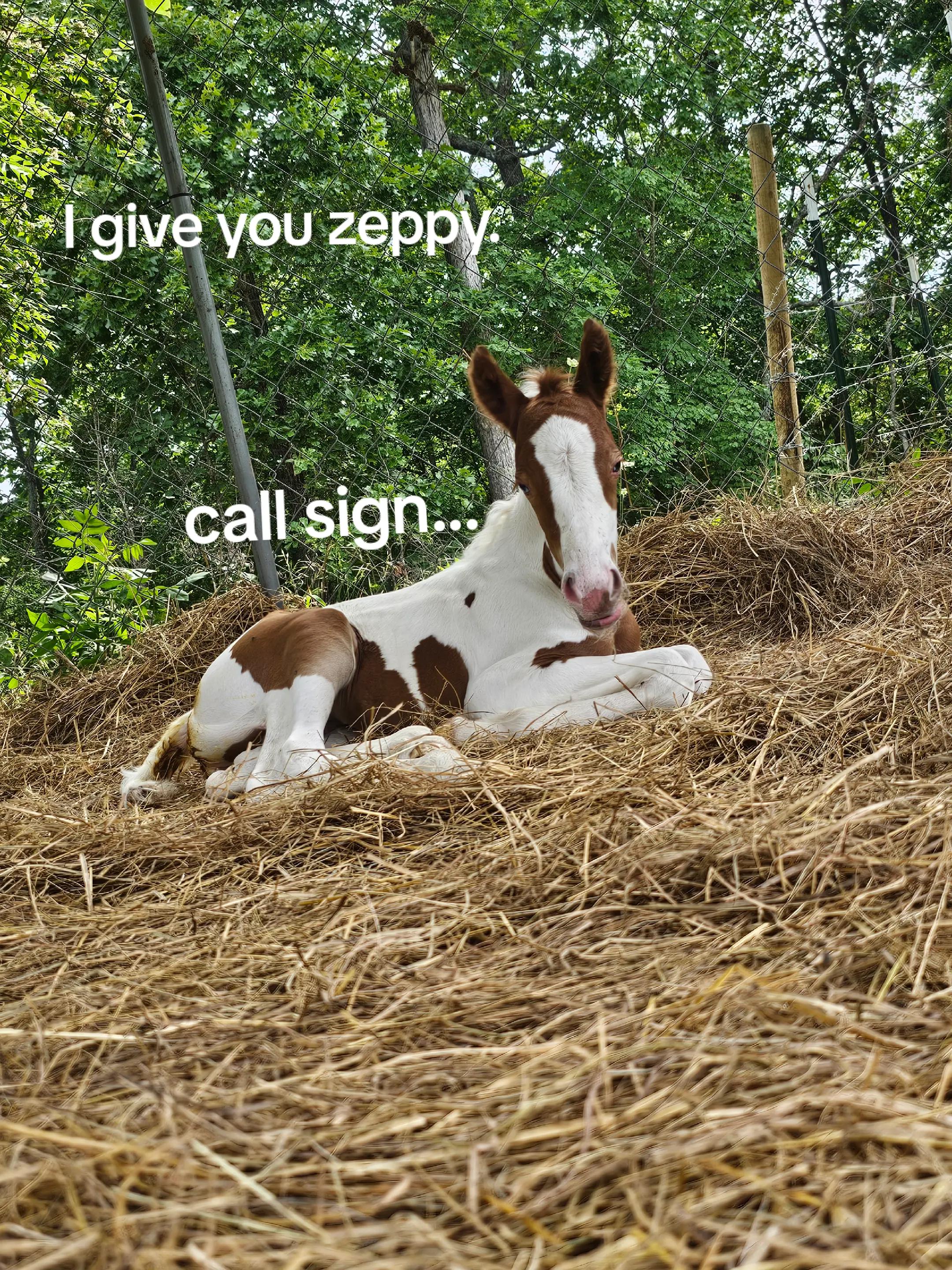 @that dumb little shit