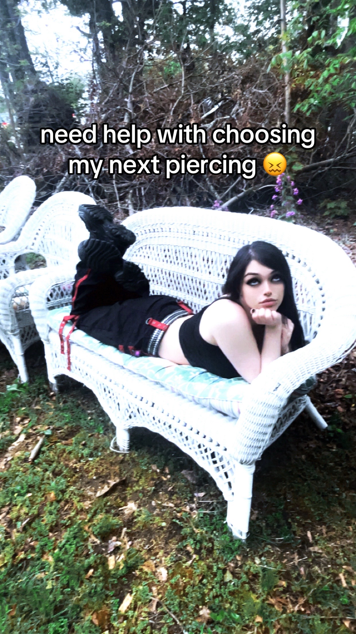 @🕷️