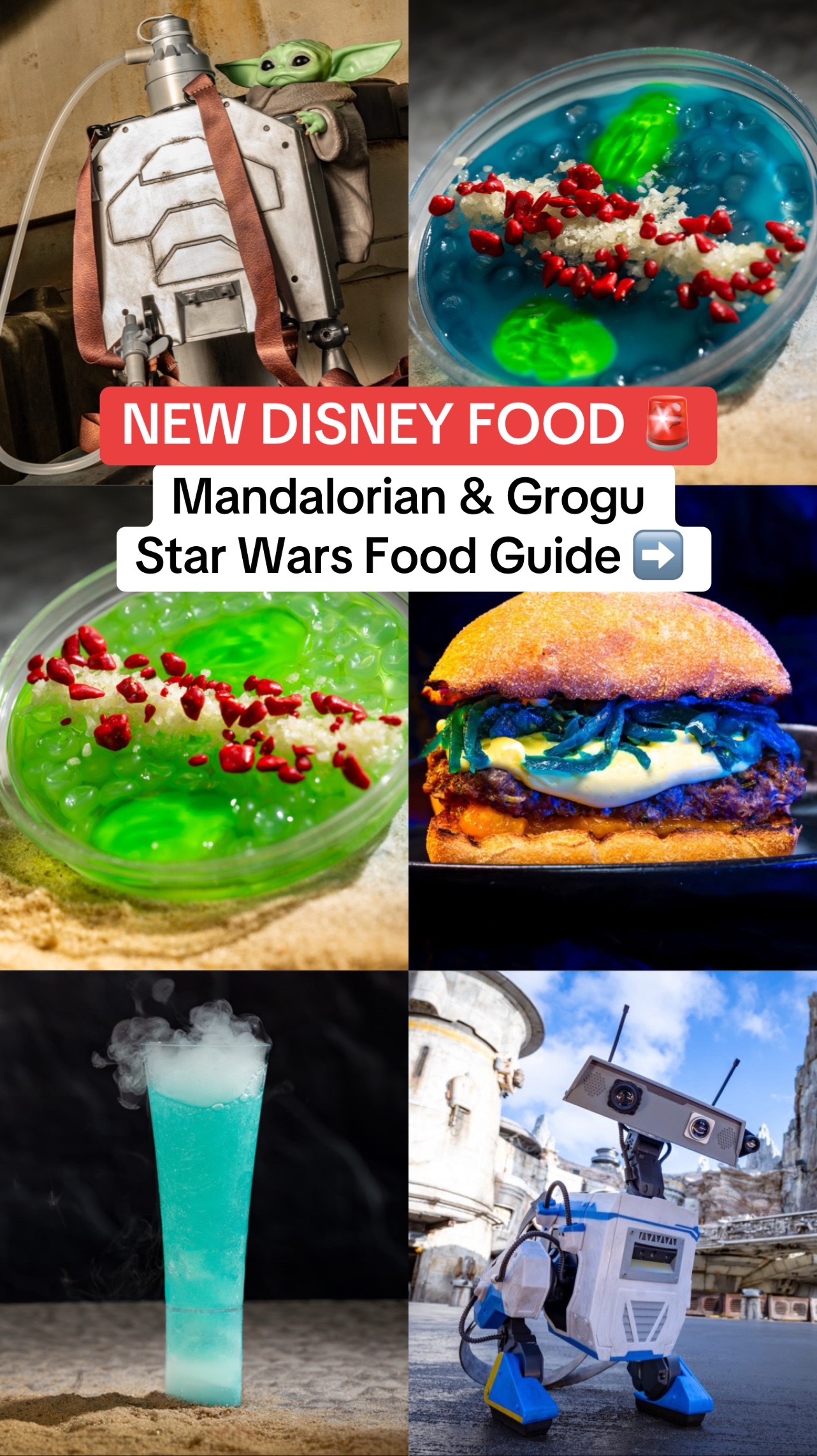 @LBV TV • Disney & Theme Parks
