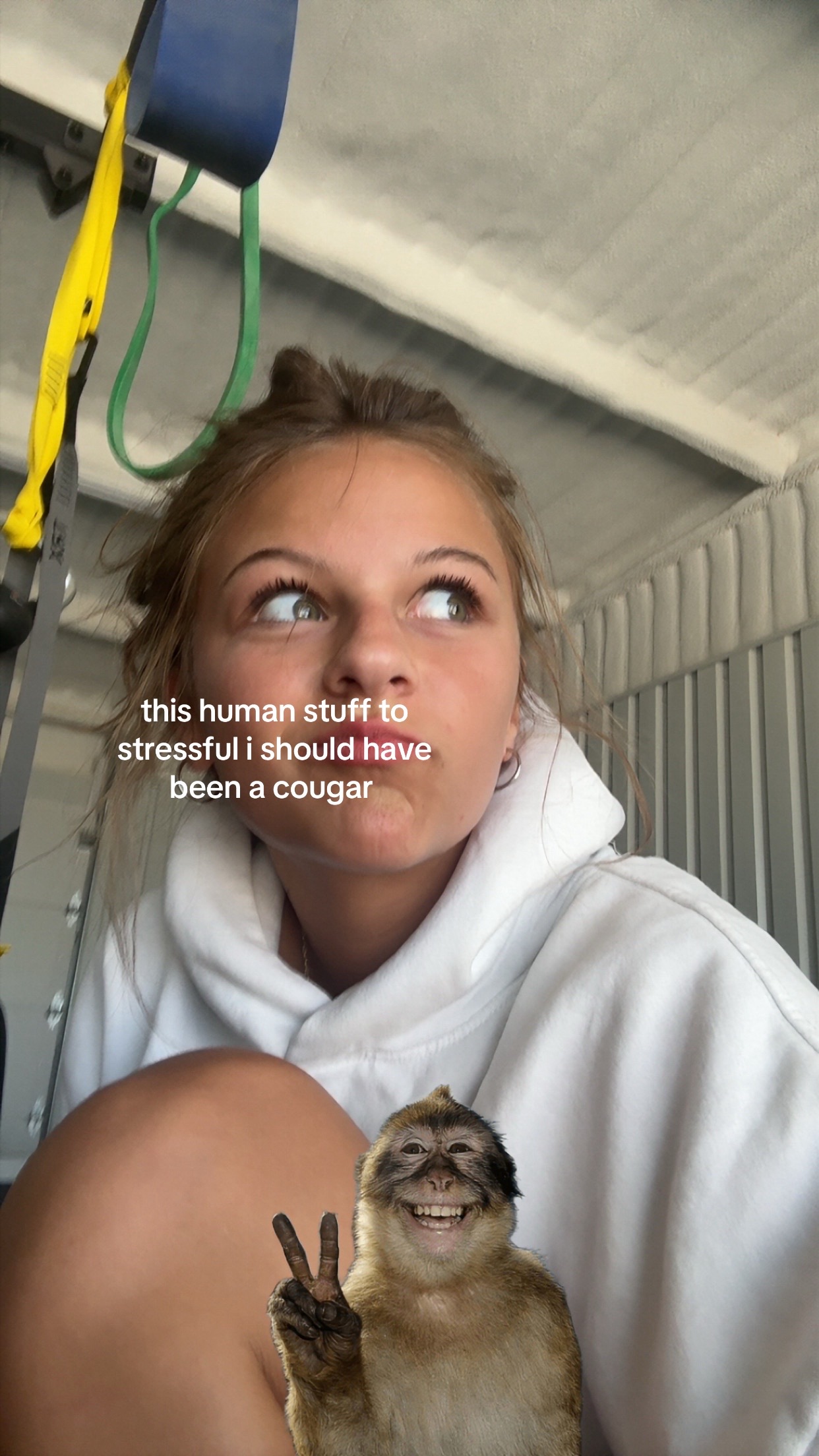 @jordanntaylor