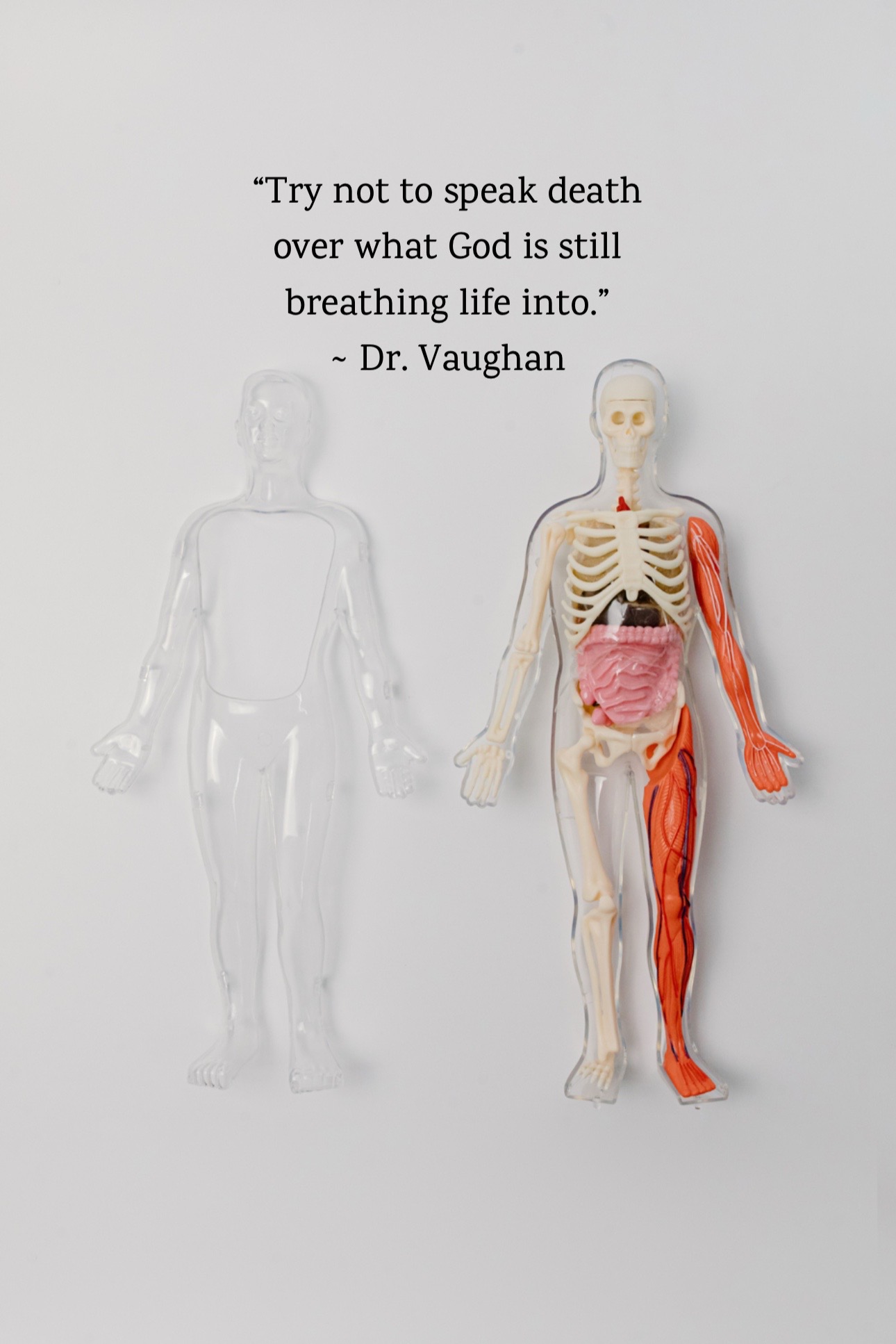 @Dr. Rachelle Vaughan