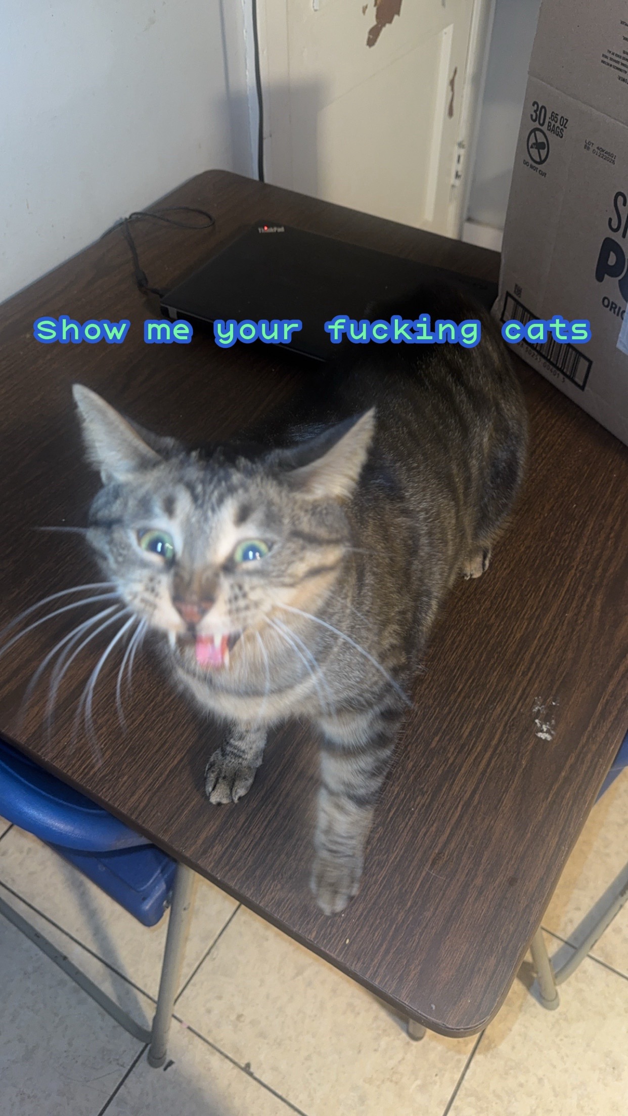 @ctrl_alt.v