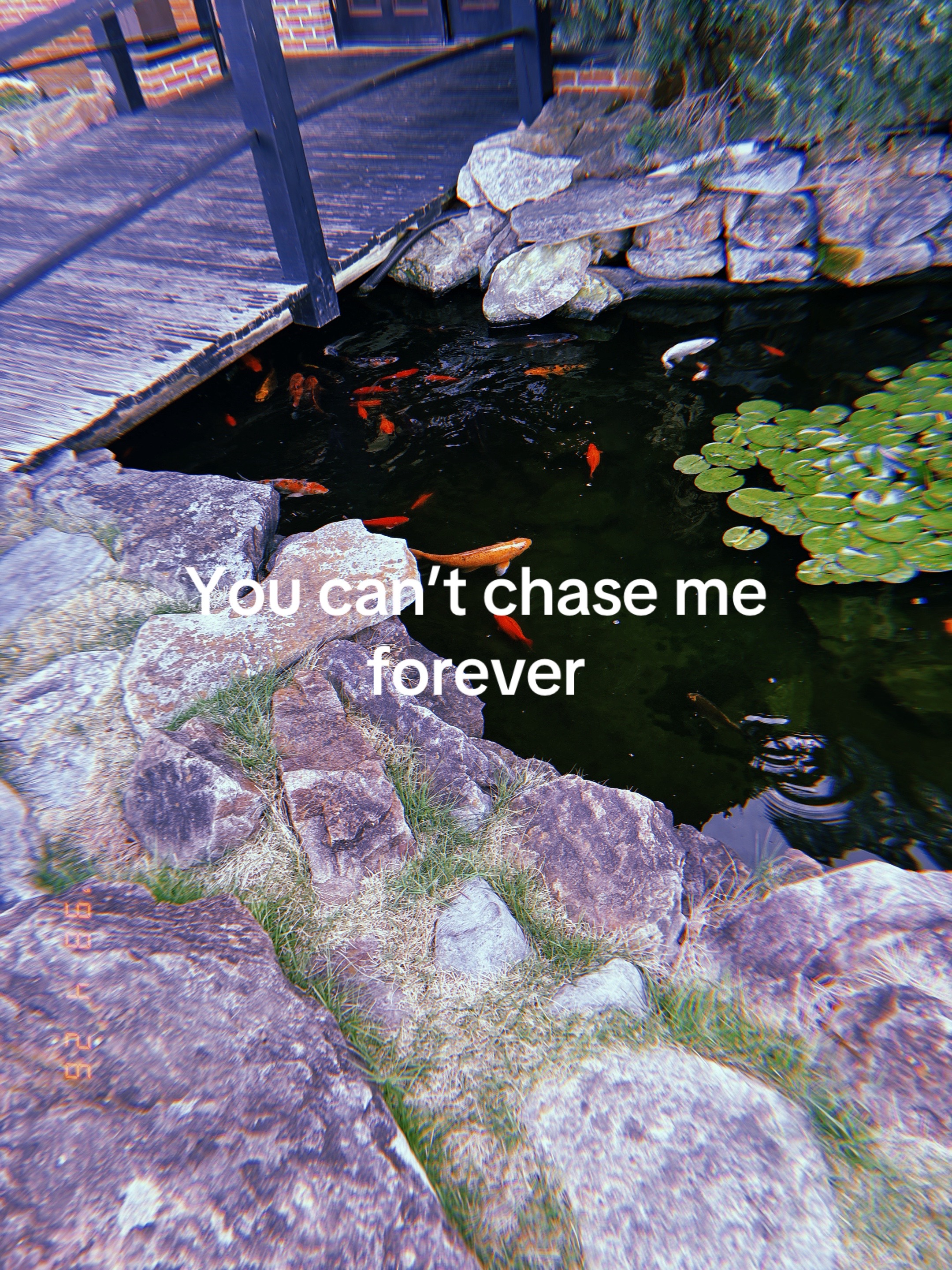@Mac🪽