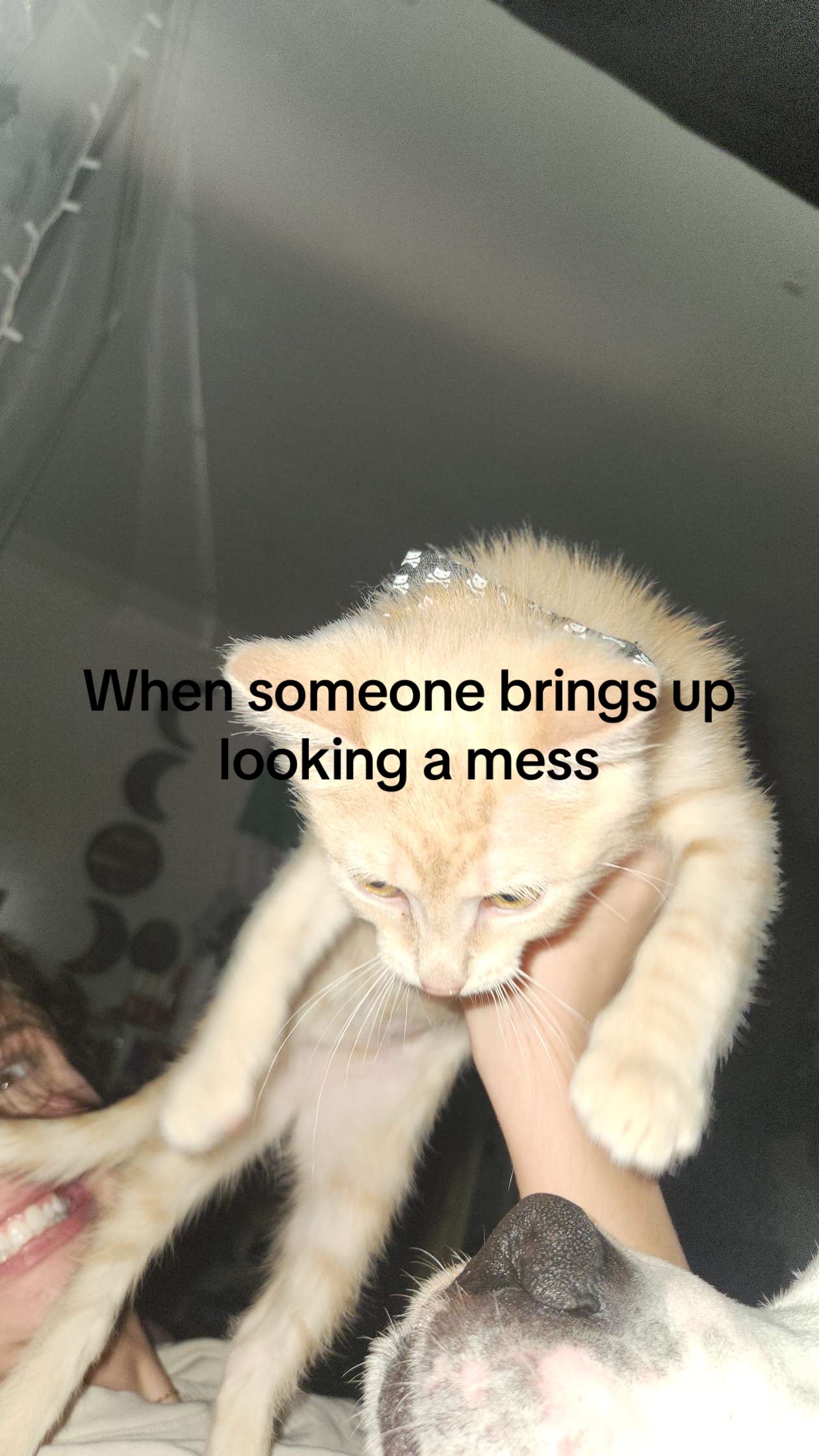 @liv ๐ค