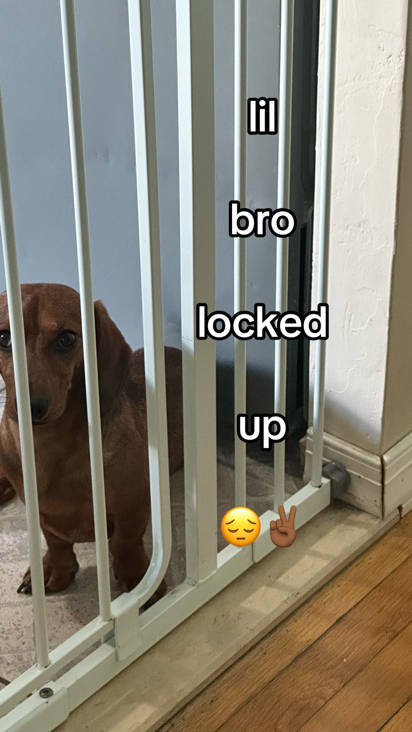 @ykdavid