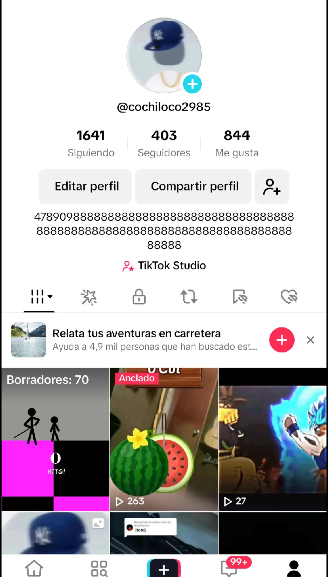 @cochiloco