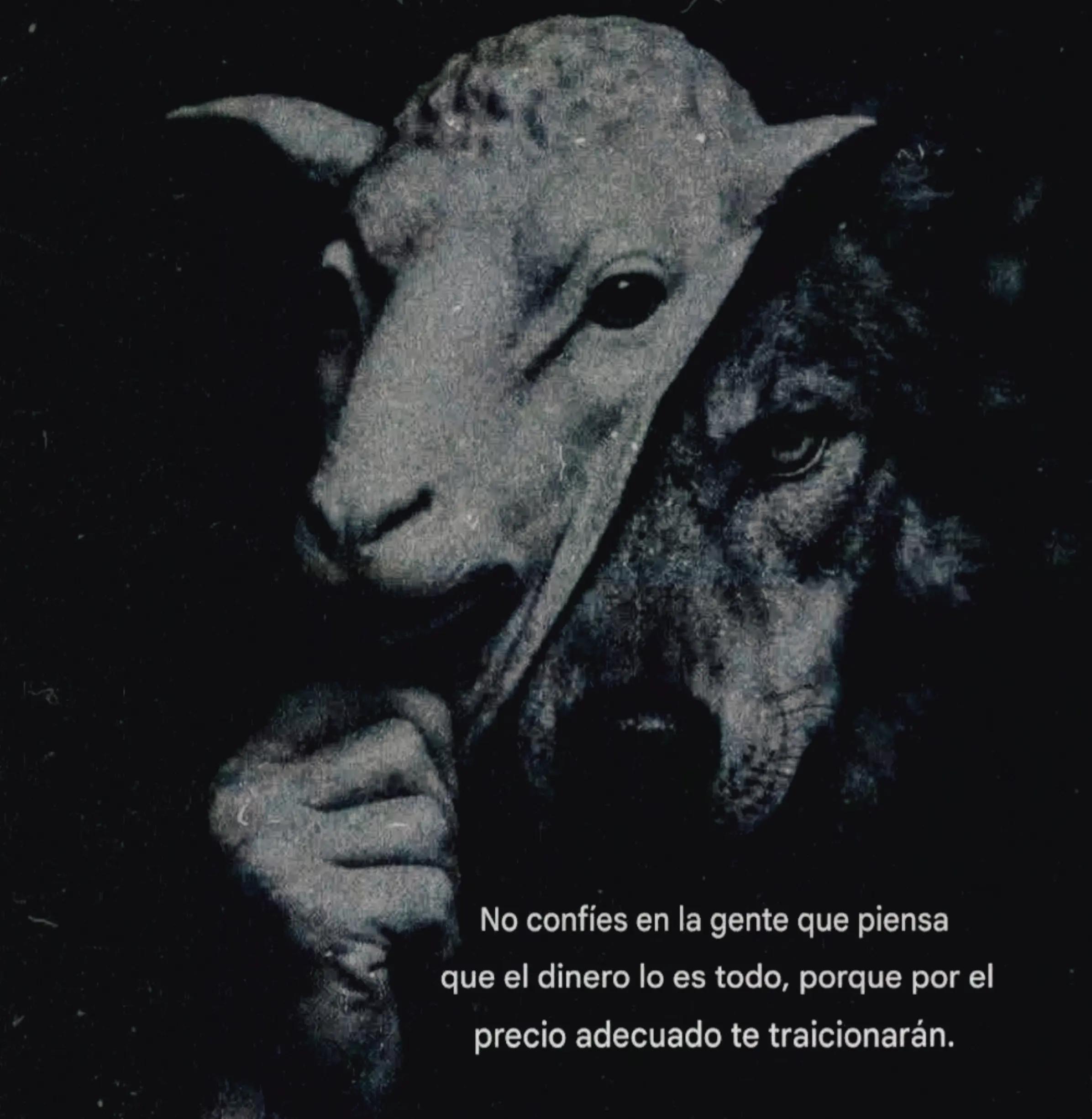 @🏴&zwj;☠️ COCO & PIRA&Ntilde;A 🏴&zwj;☠️