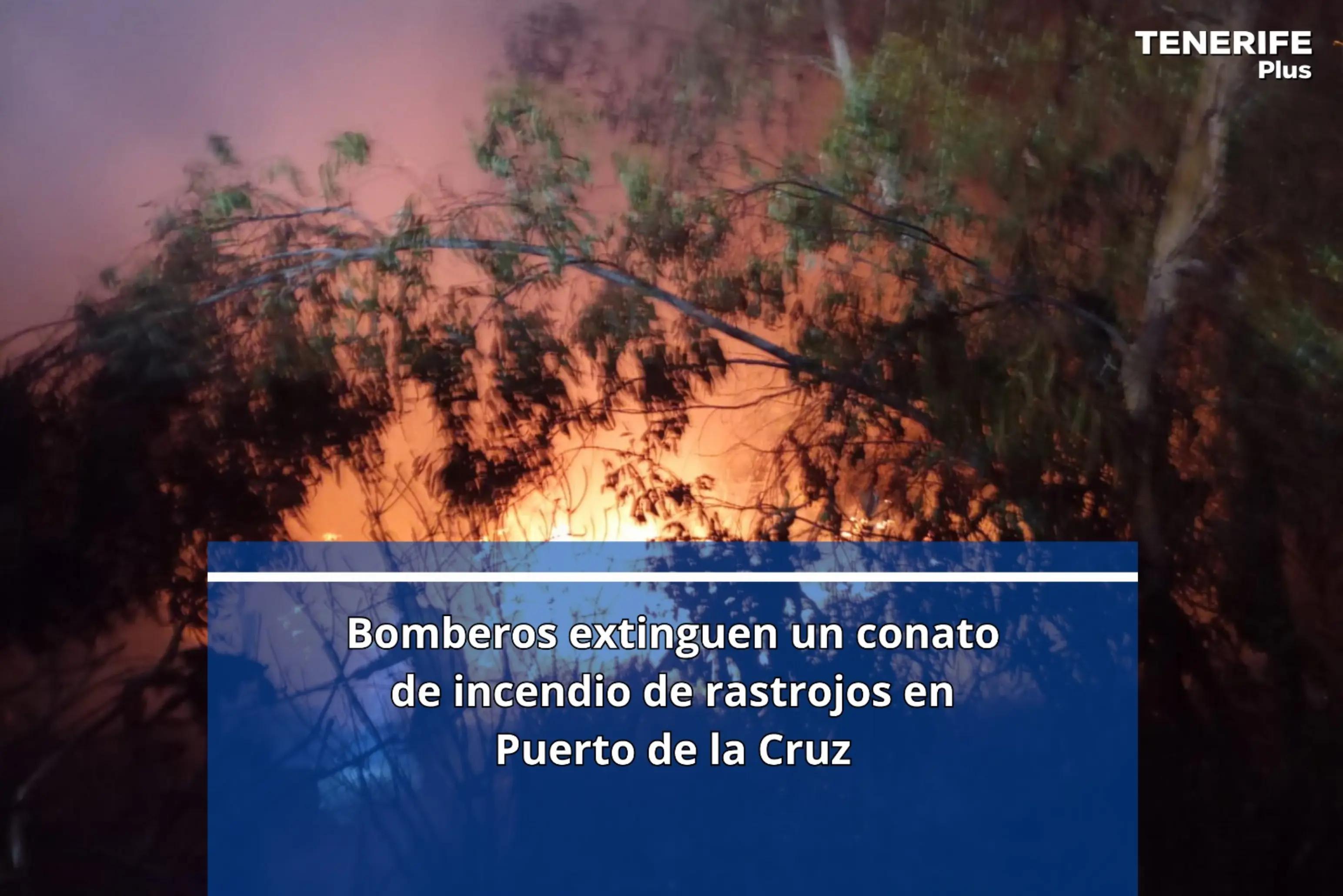 @Tenerife Plus TV