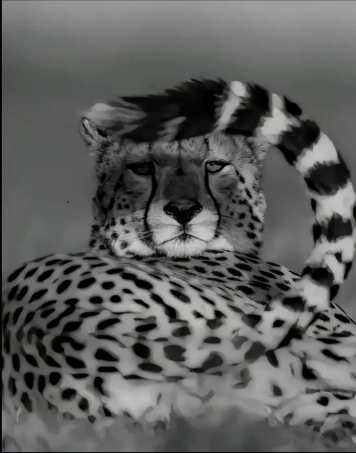 @🐊🩸🖤 ..ᏞᎯ ᏦᏫᏚᎿᎬ.. 🖤🩸🐊