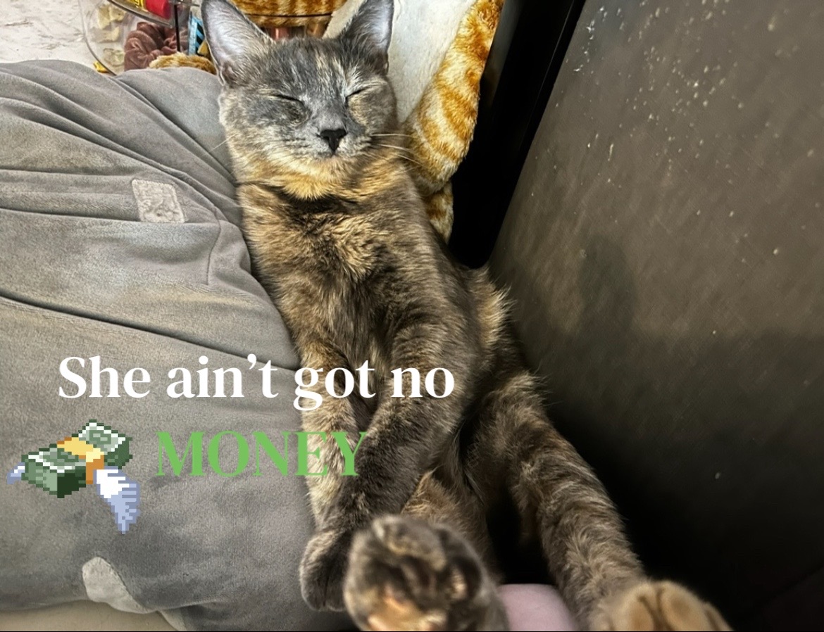 @CAMM