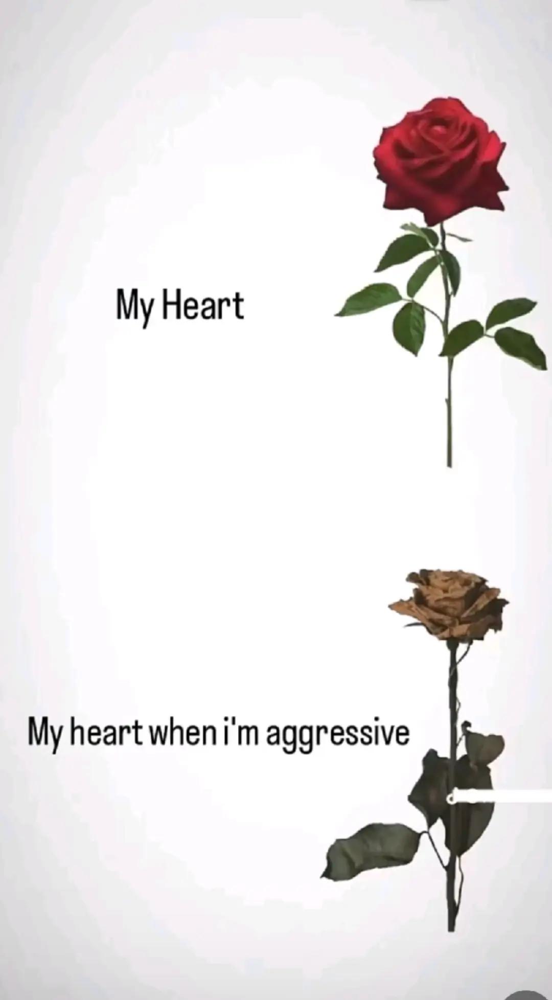 @𝒻🧚🏼&zwj;♀️