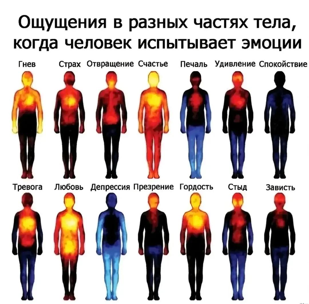 @Falzzix🦇