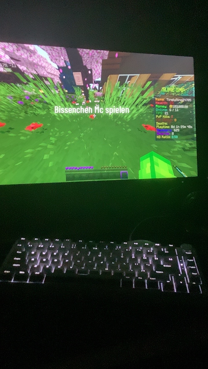 @TingelPvP