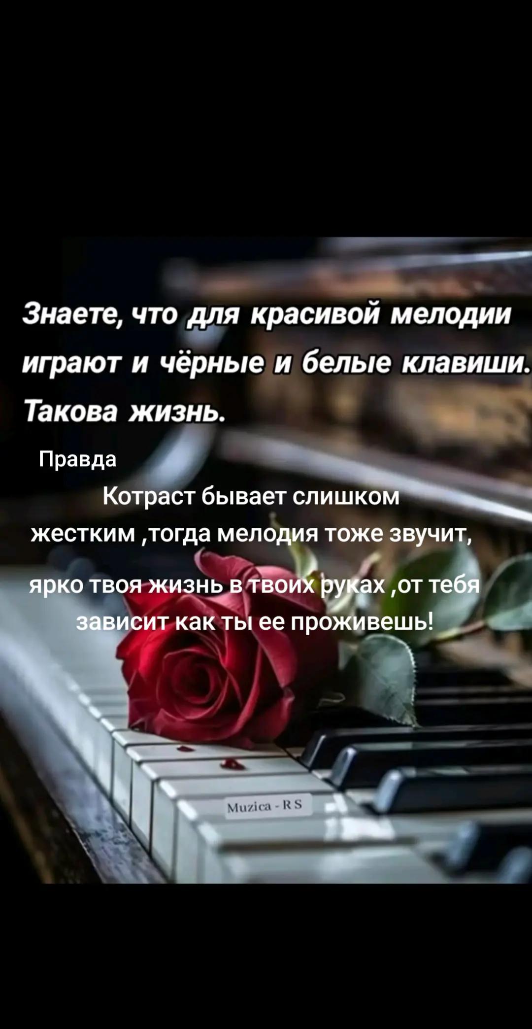 @korona