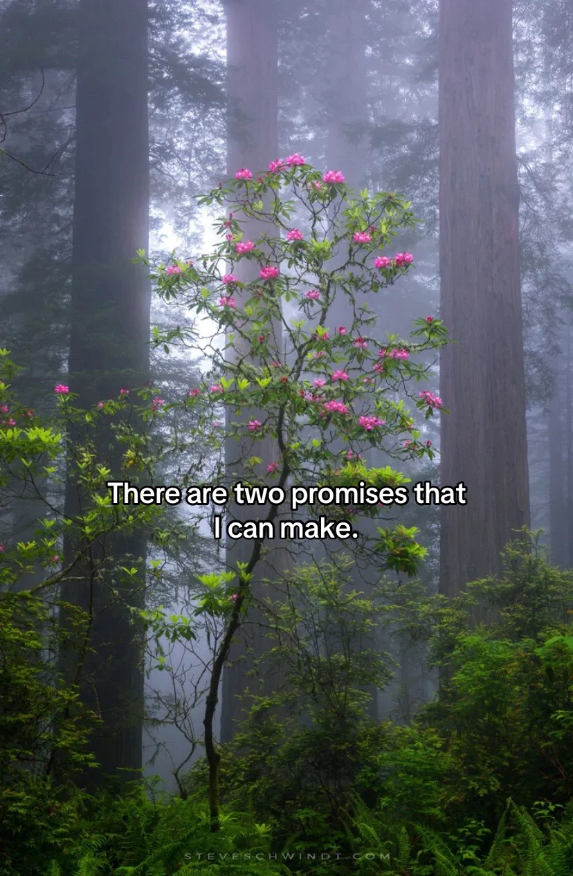 @infinite.quotes