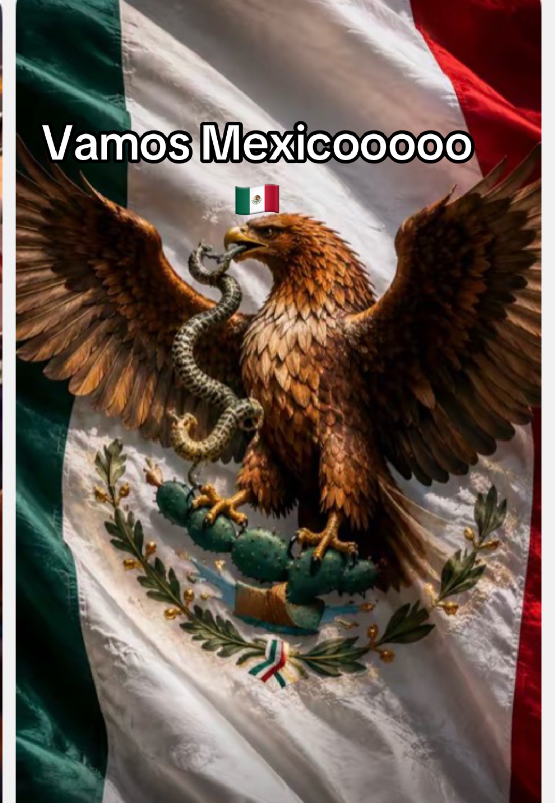 @luzmedina