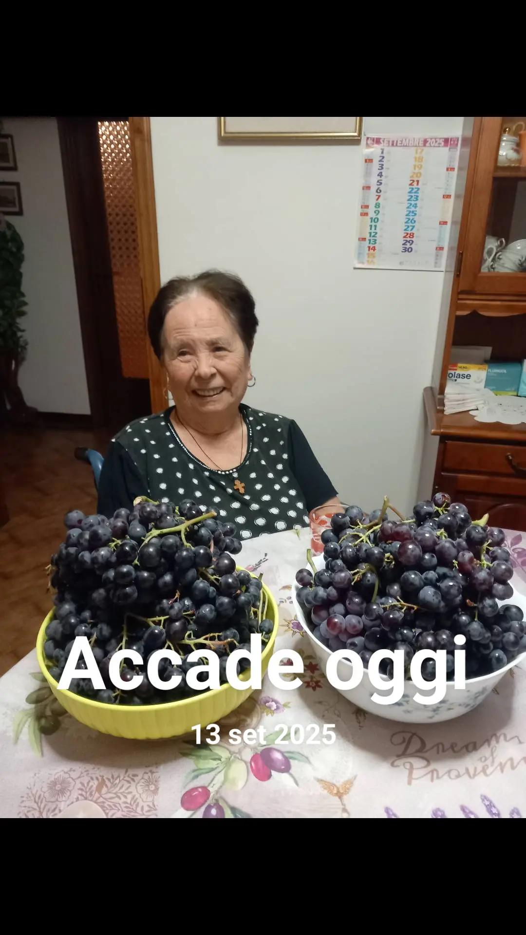 @MARIANA PASCALIU