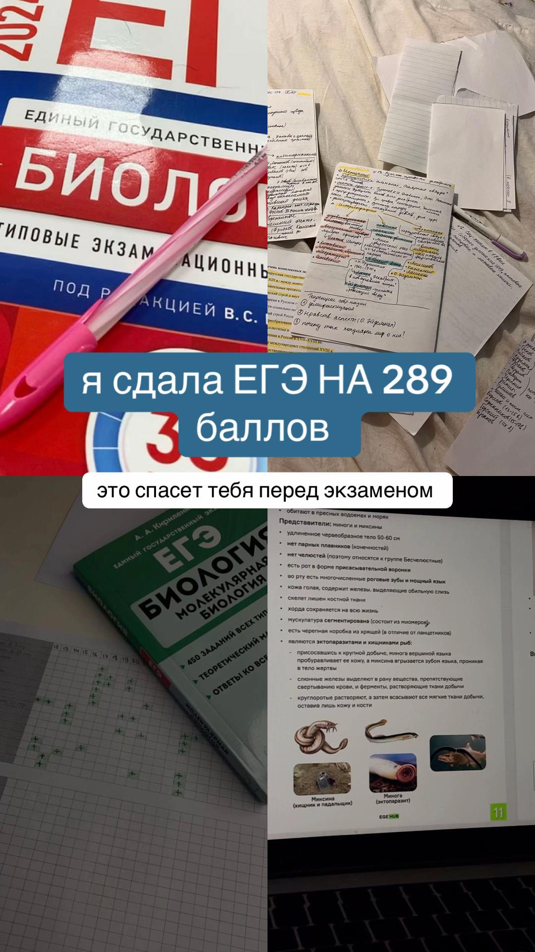 @yayga