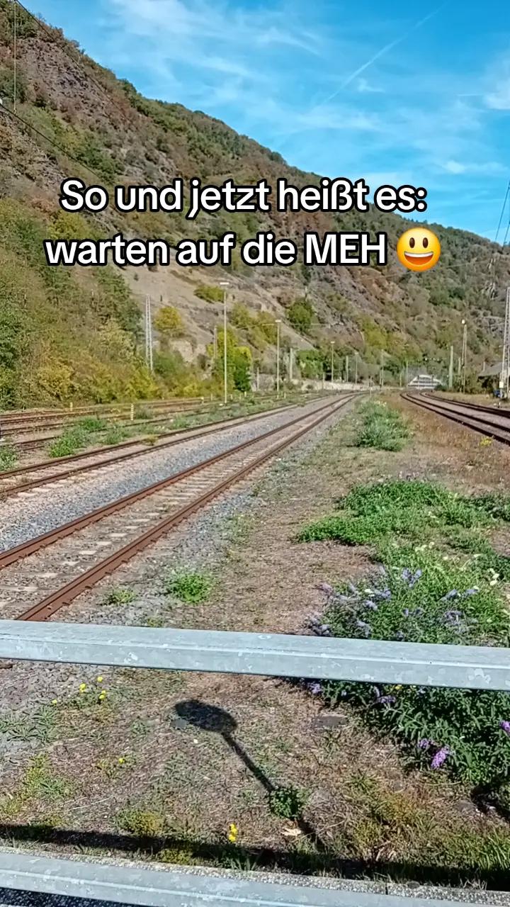 @LP-Trainfan