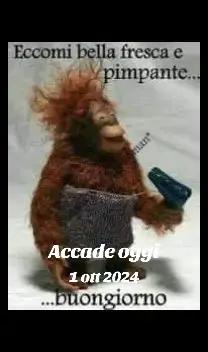 @alessandramarchi726