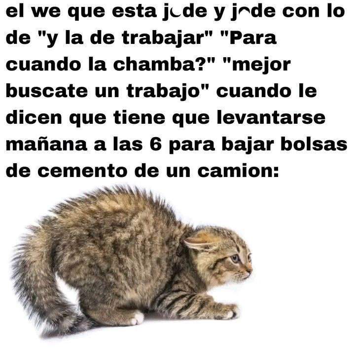@el de las papas: