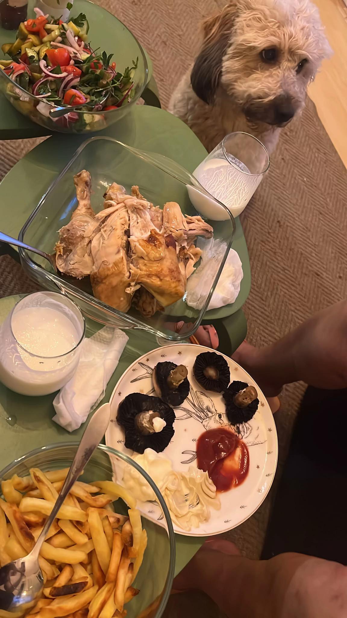@gulsahcapkn
