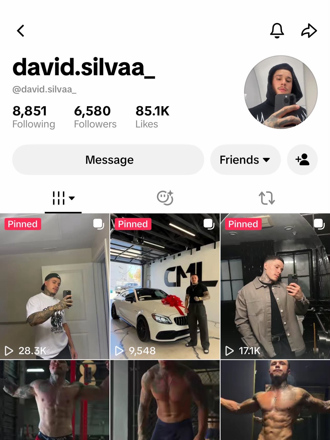 @silva.trains